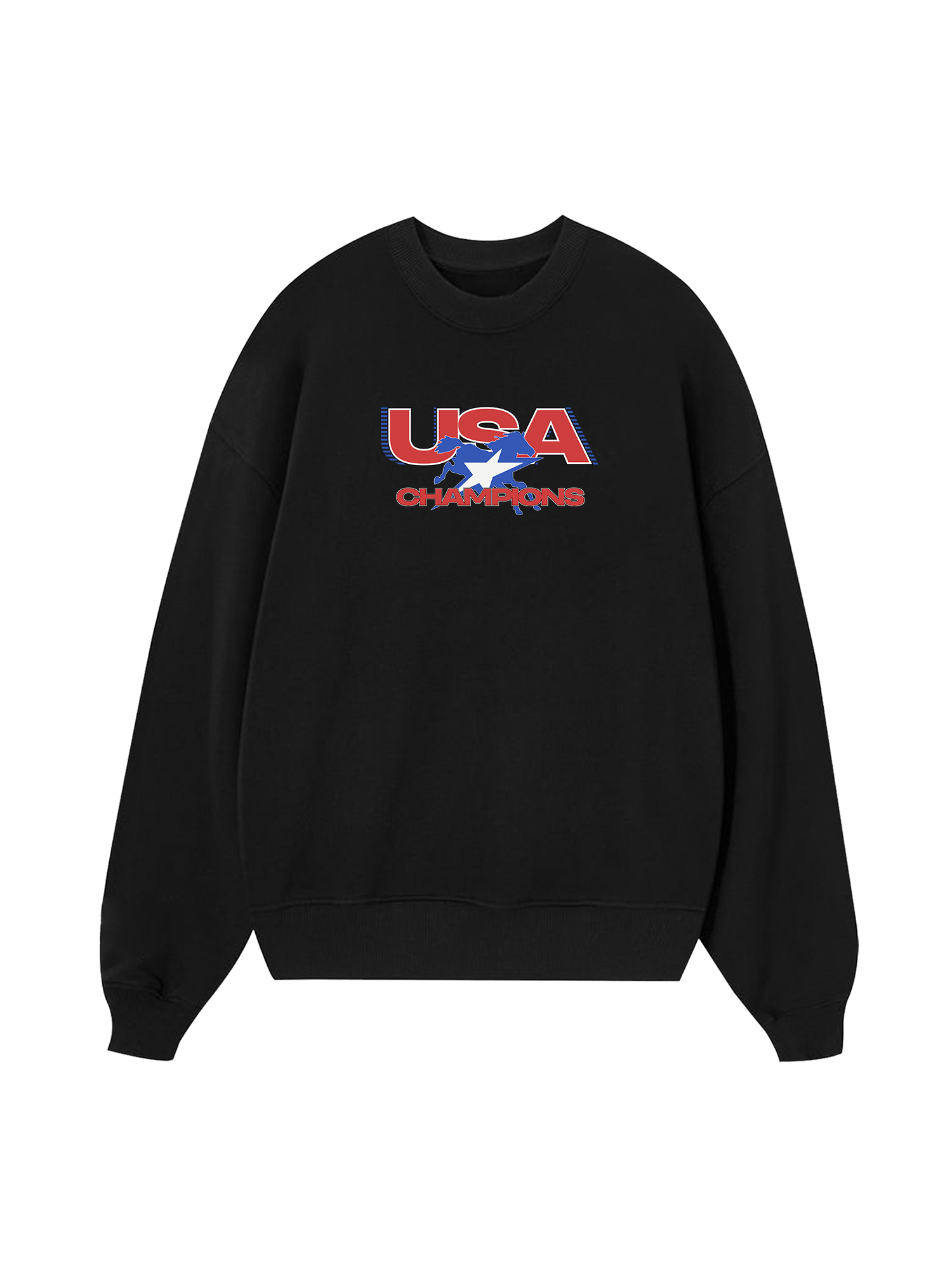Champions Star Racer Sweater