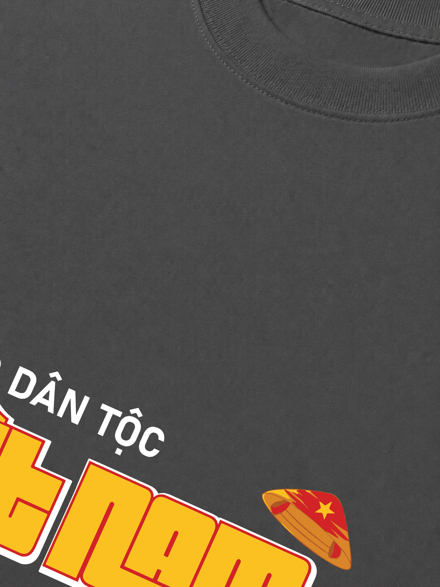 Áo Thun Relaxed Fit Tự Hào Dân Tộc Việt Nam