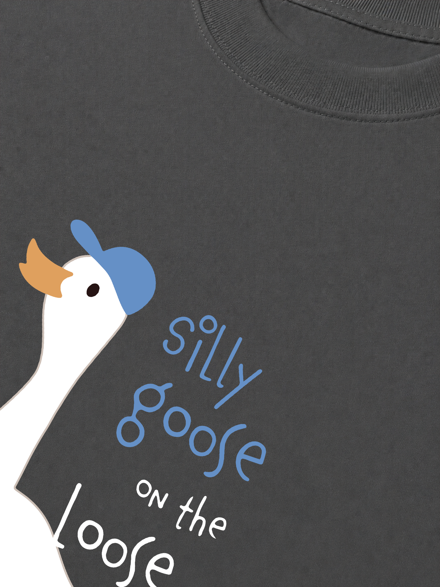 Áo Thun Relaxed Fit Farm Silly Goose On The Loose
