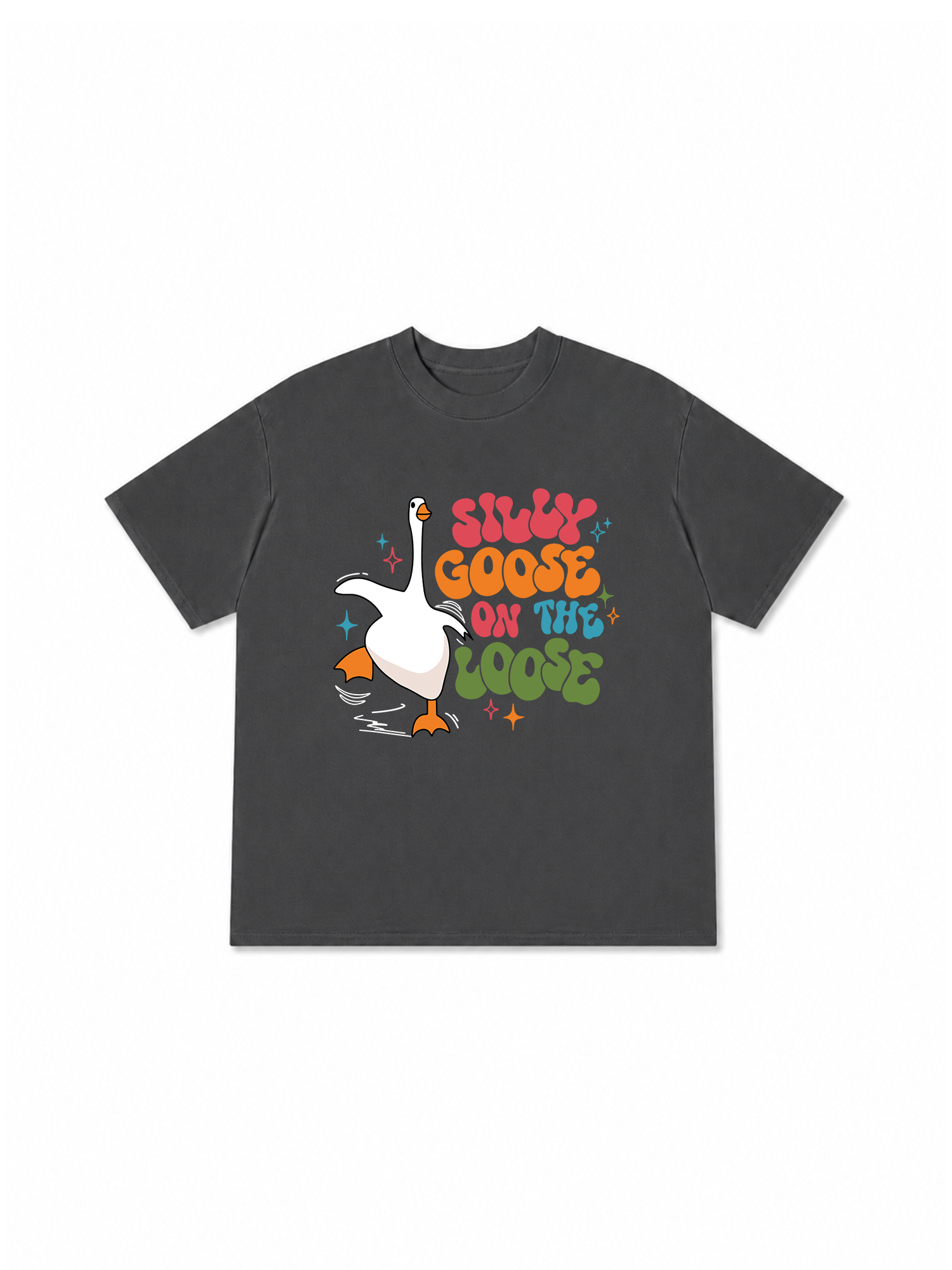 Áo Thun Relaxed Fit Farm Silly Goose On The Loose