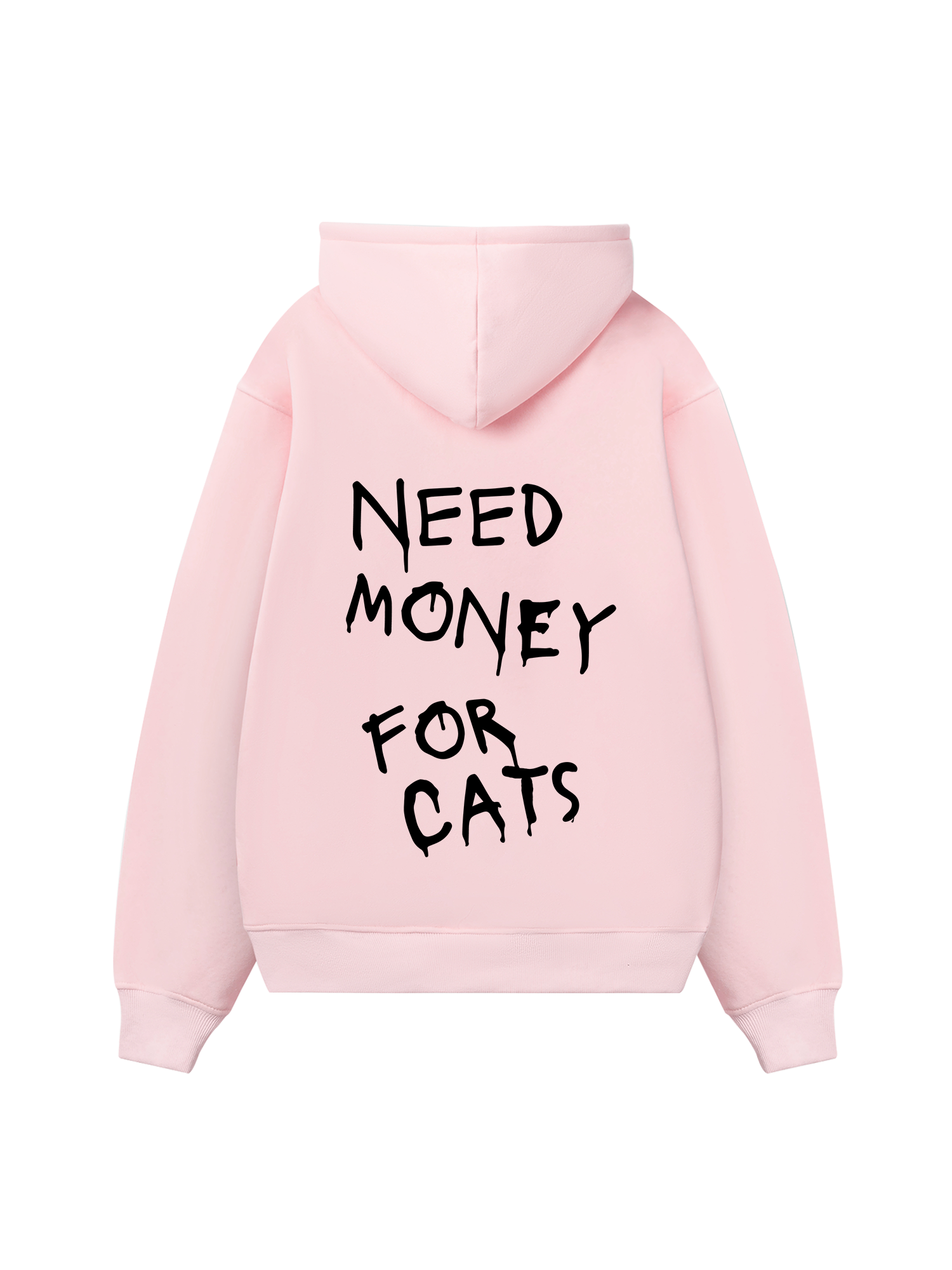 Need Money For Cats Hoodie