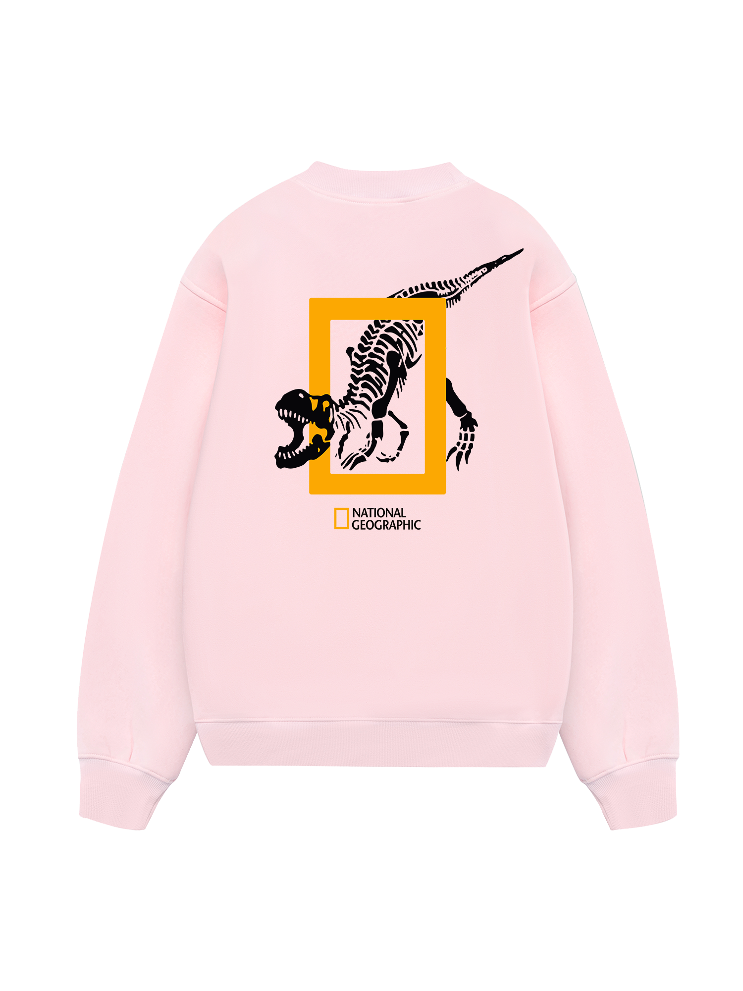 Wild Life The Fossil Hunting Sweater