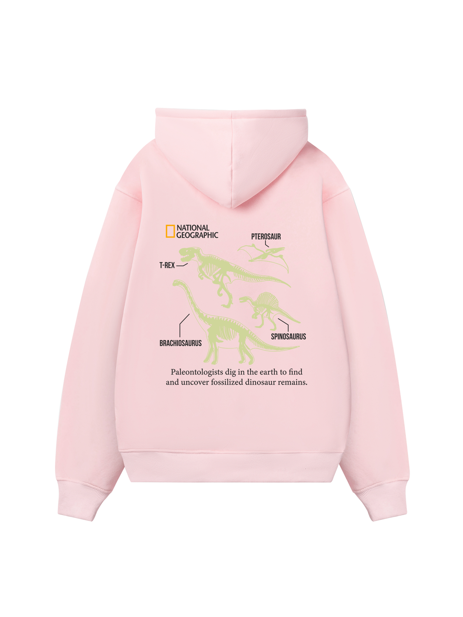Wild Life World Of Dino Hoodie