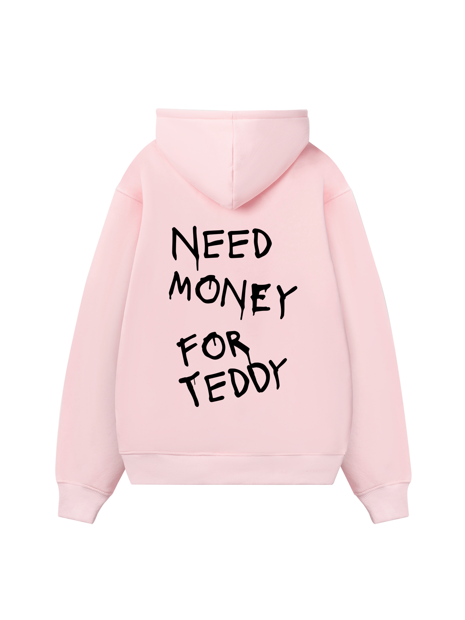 Need Money For Teddy Hoodie