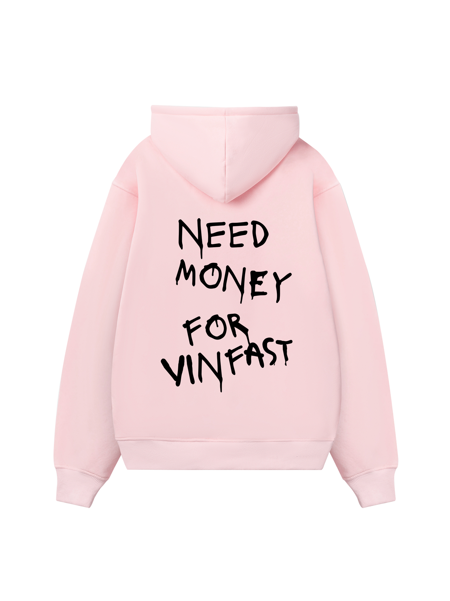 Need Money For Vinfast Hoodie
