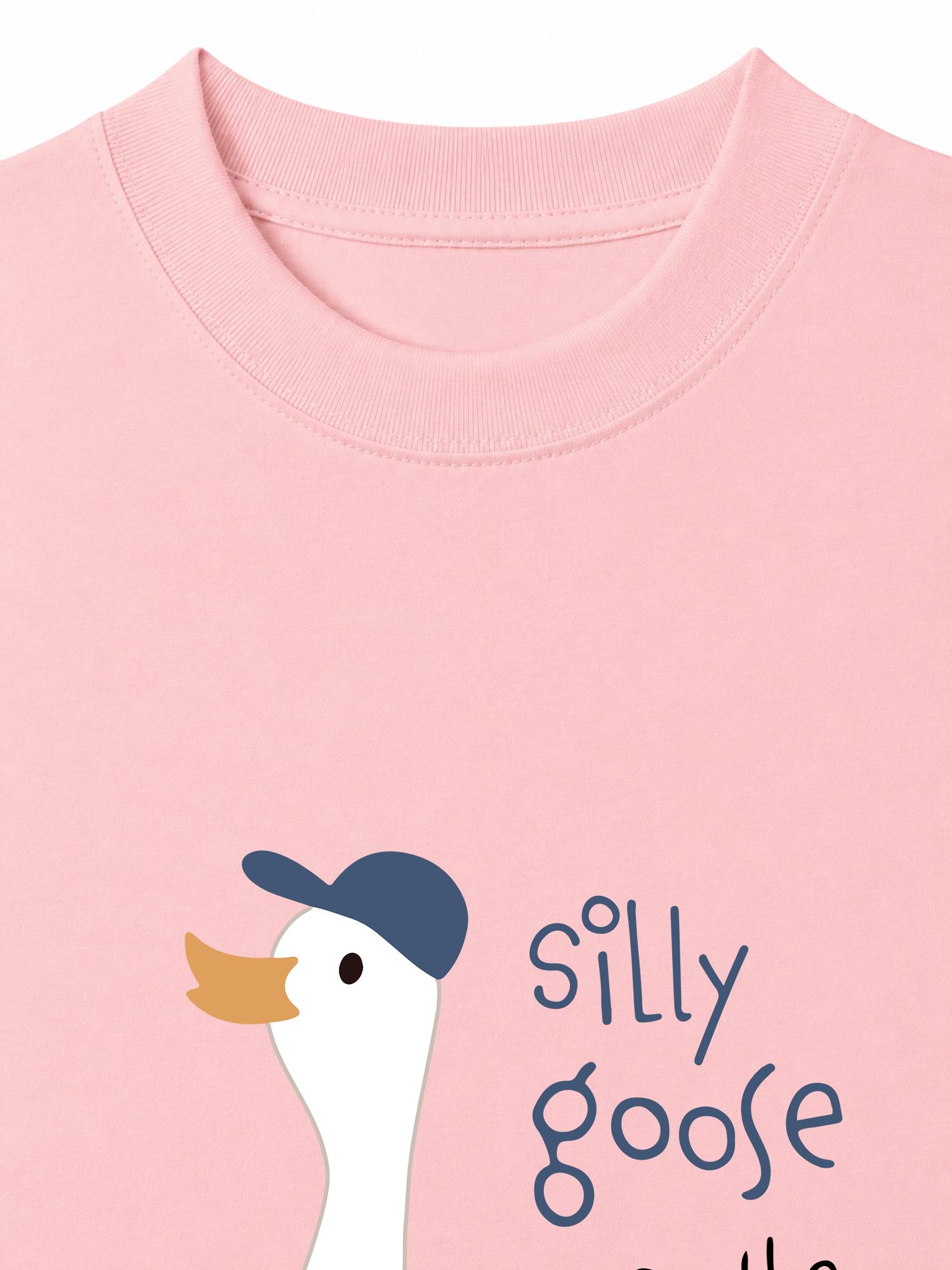 Áo Thun Relaxed Fit Farm Silly Goose On The Loose
