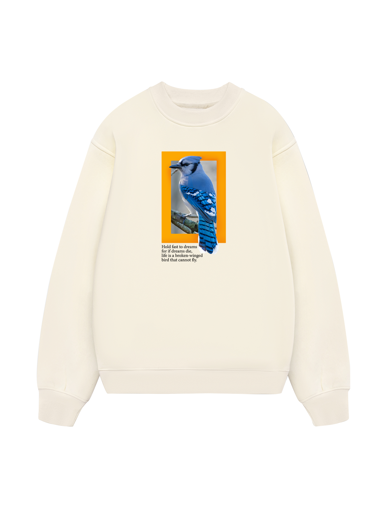 Wild Life Hold Fast To Dreams Sweater