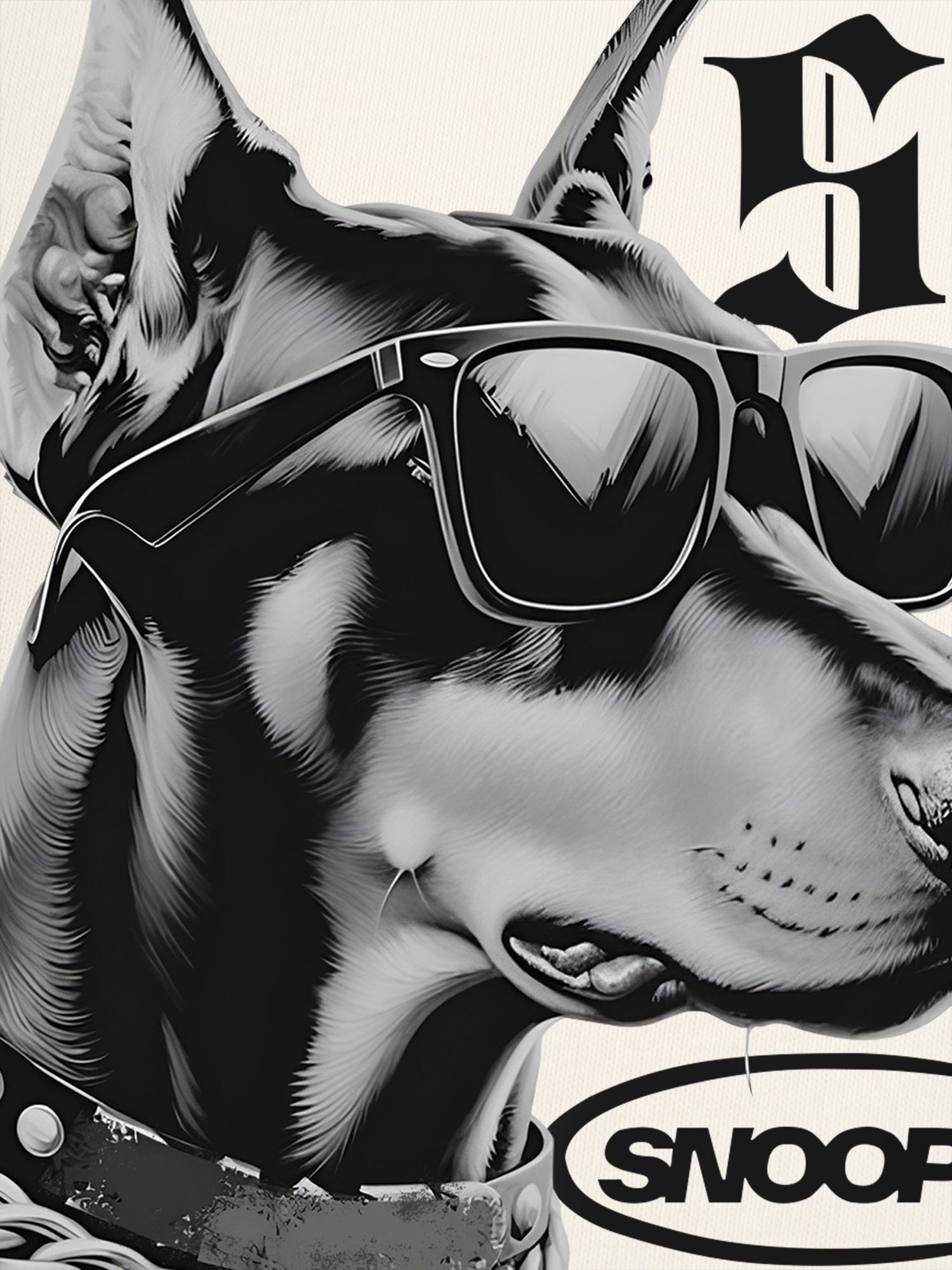 Áo Thun Ringer Relaxed Fit Rapper Funny Snoop Dog