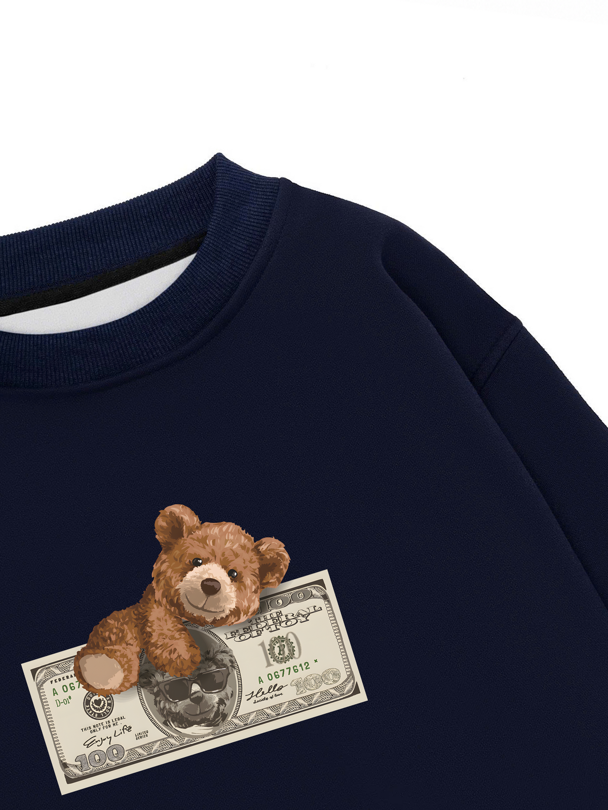 Áo Sweater Nỉ Hai Da Teddy Dolar