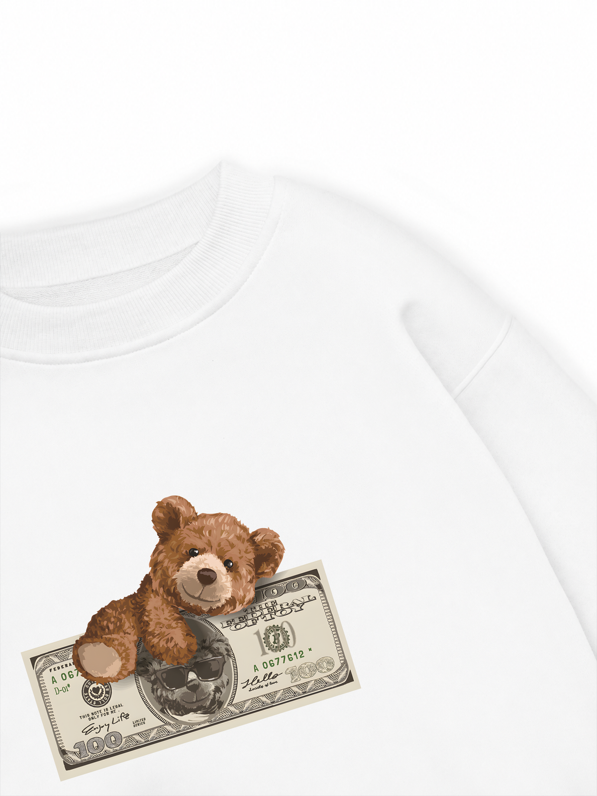 Áo Sweater Nỉ Hai Da Teddy Dolar