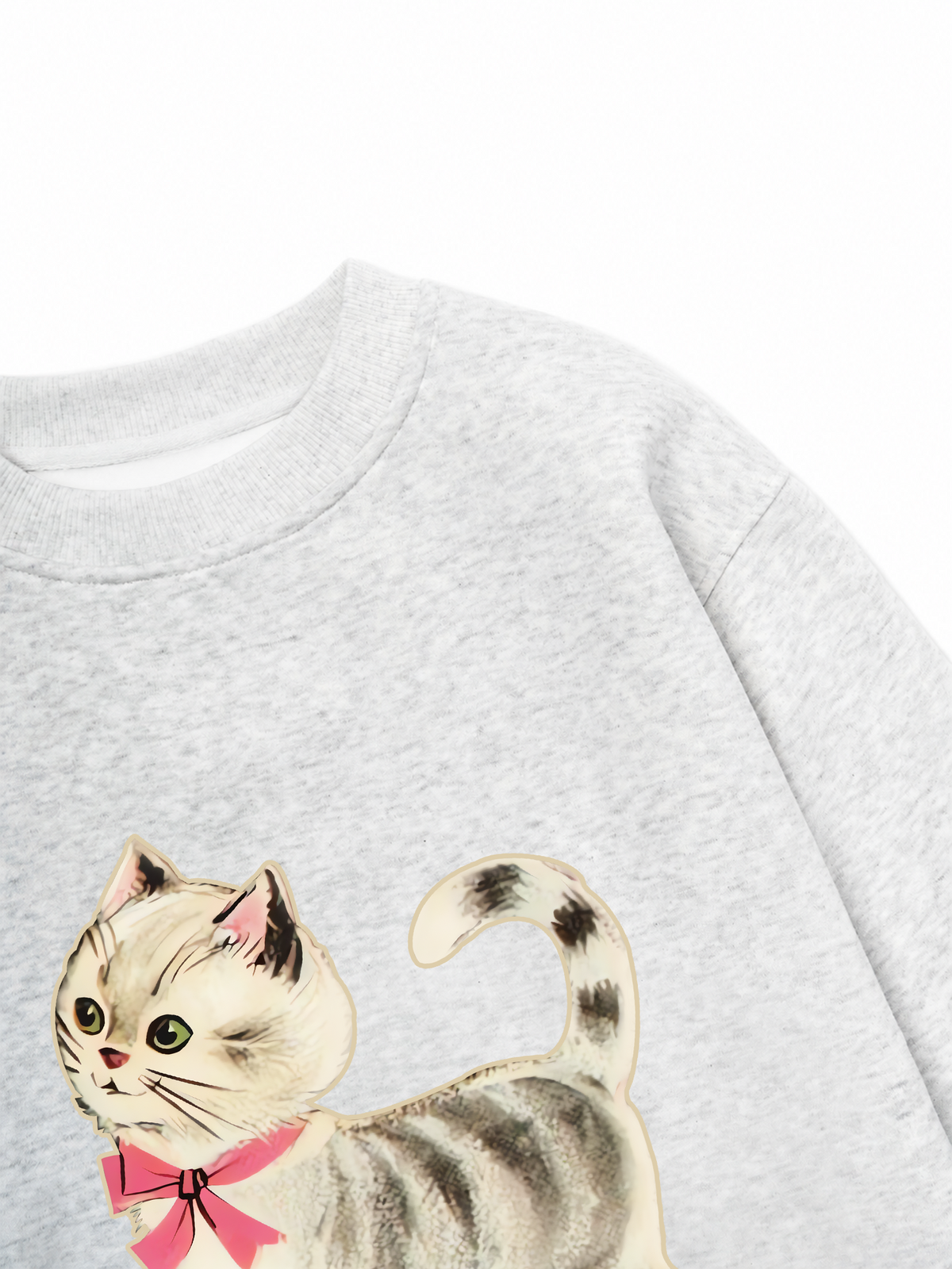 Áo Sweater Nỉ Hai Da Soft Paw Pet Friend Cat