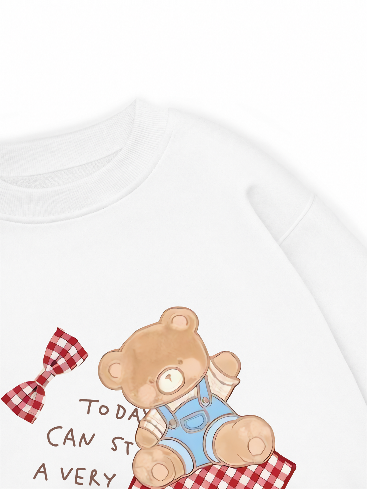 Áo Sweater Nỉ Hai Da Soft Paw Cute Teddy