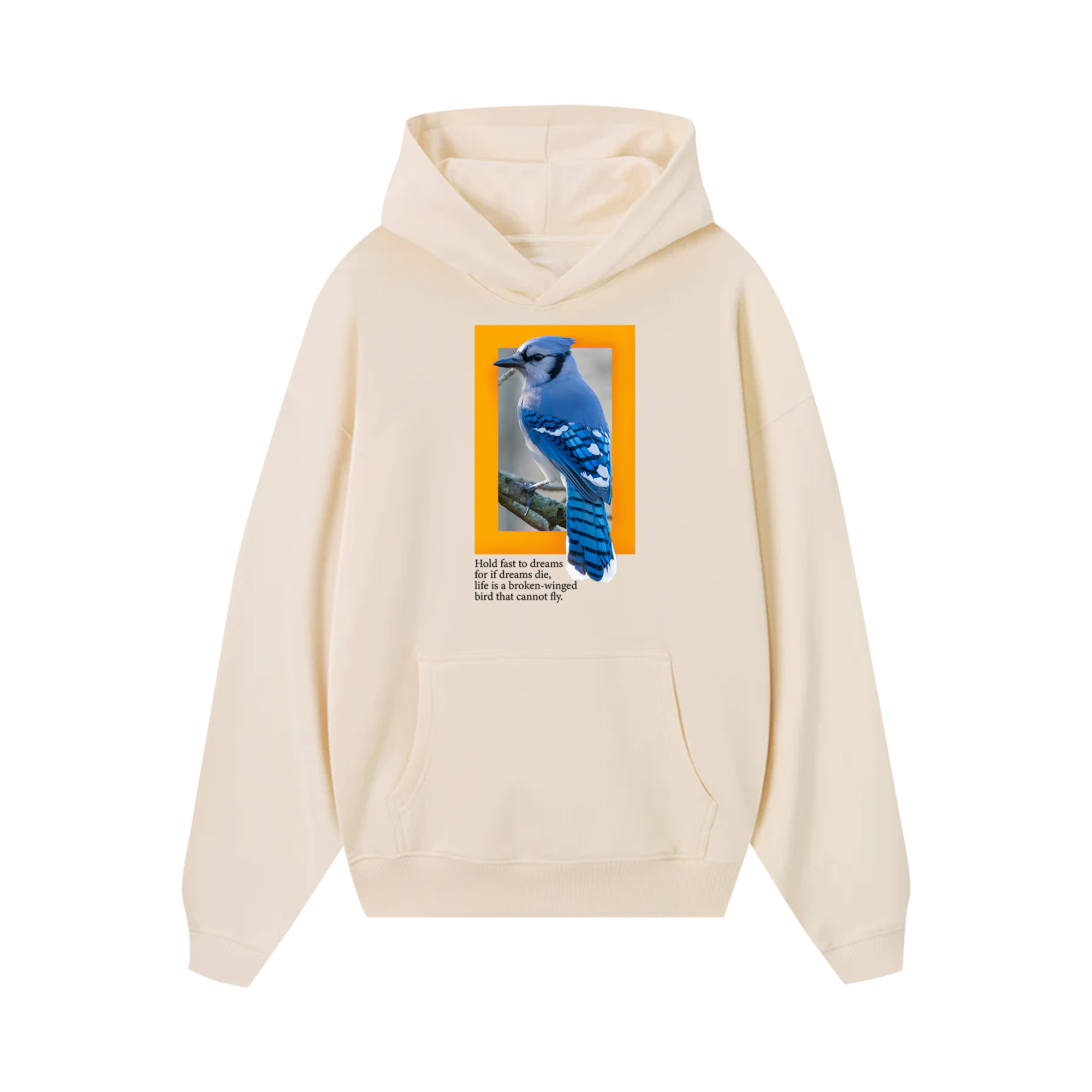 National Geographic Hold Fast To Dreams Hoodie