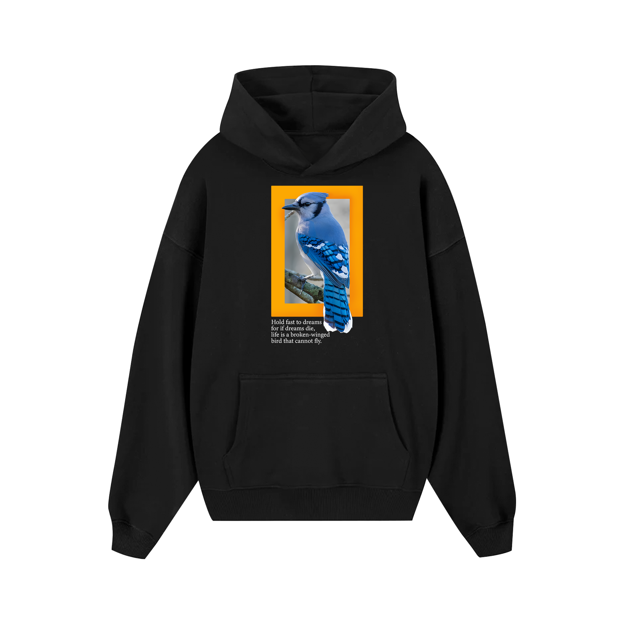 National Geographic Hold Fast To Dreams Hoodie