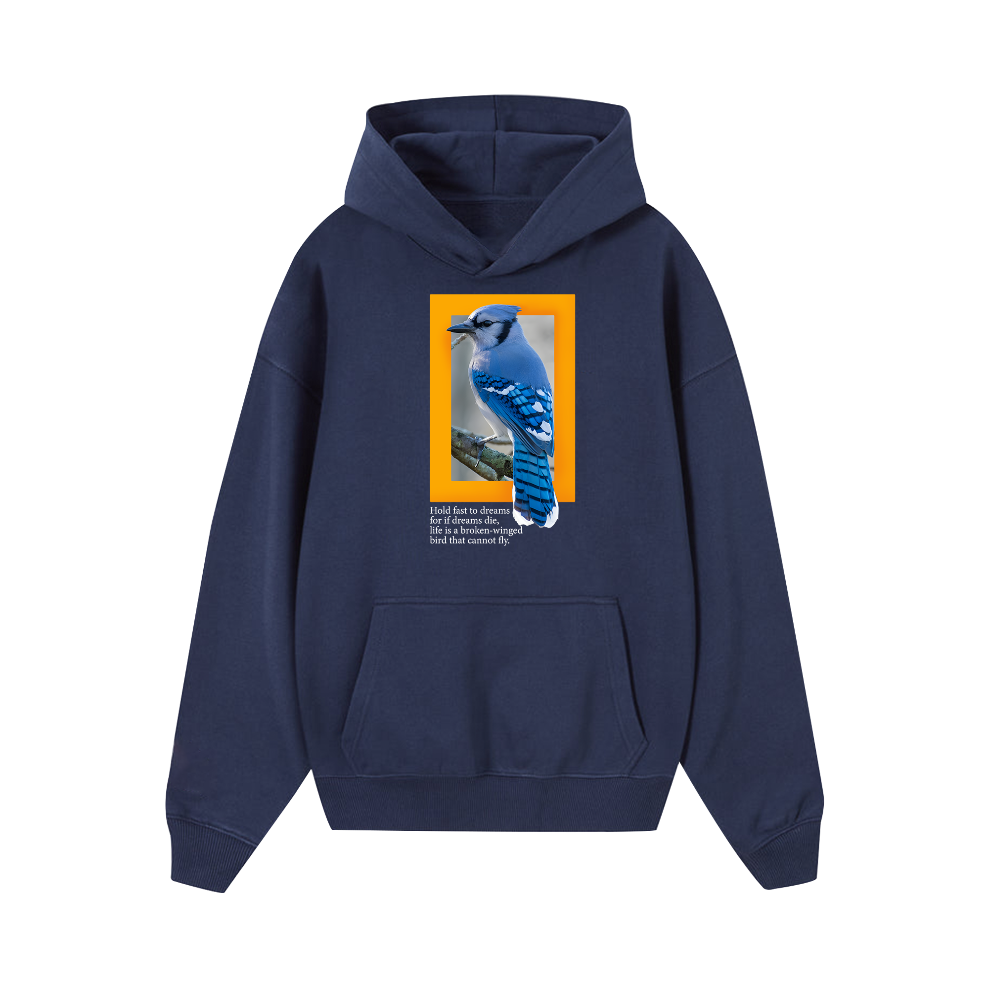 National Geographic Hold Fast To Dreams Hoodie