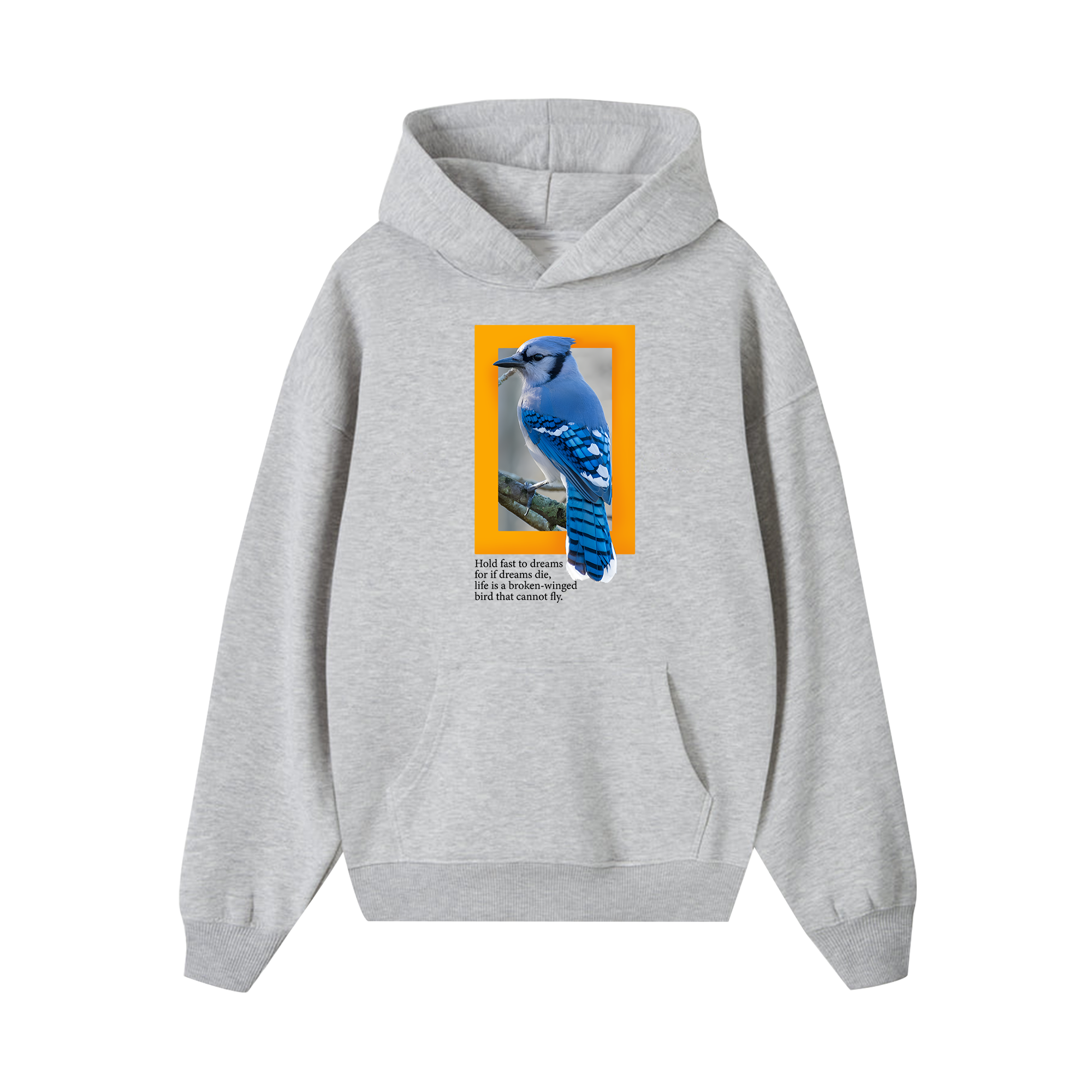 National Geographic Hold Fast To Dreams Hoodie