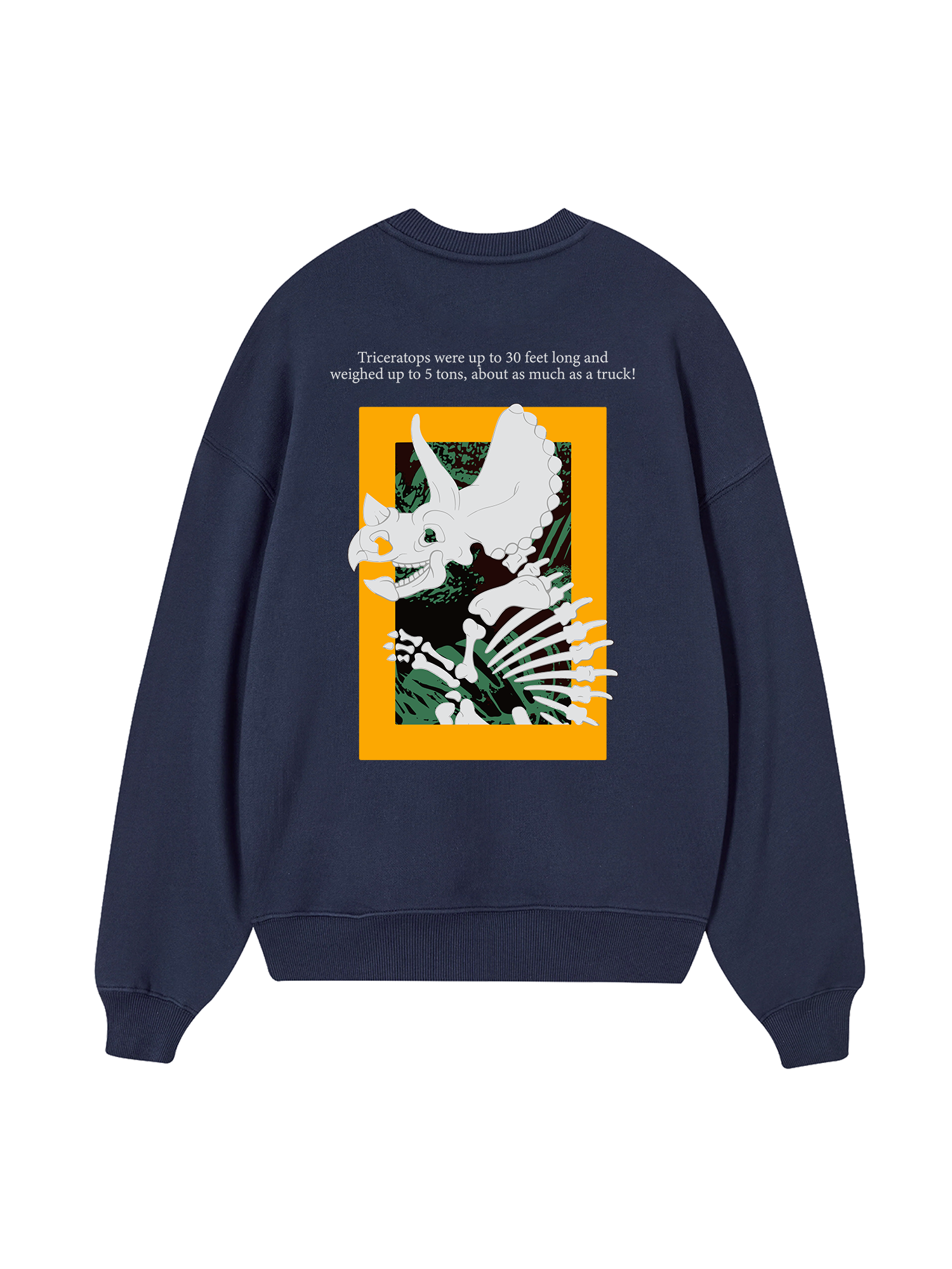 Wild Life Triceratops Sweater