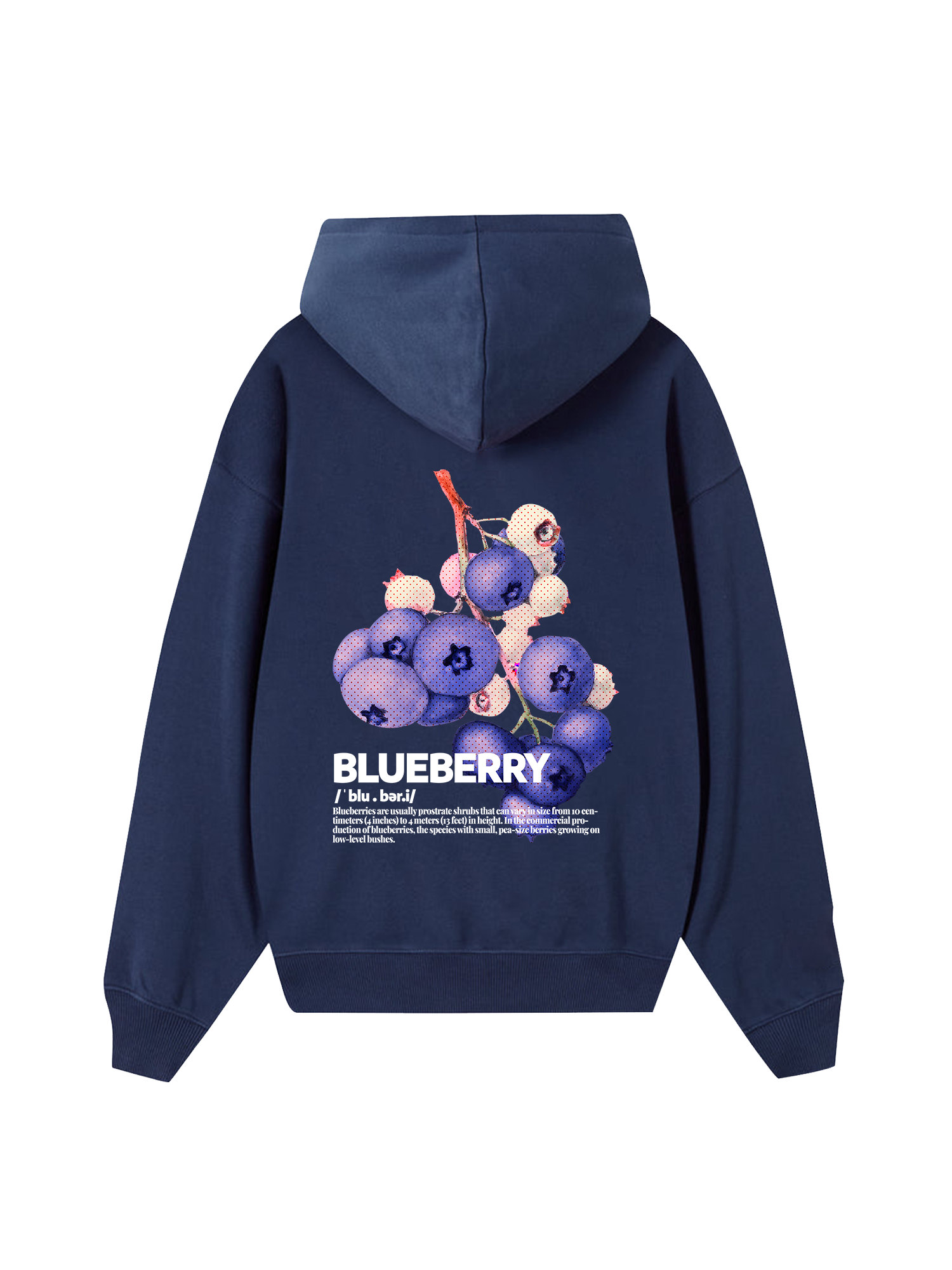 Tropical Blue Berry Retro Hoodie