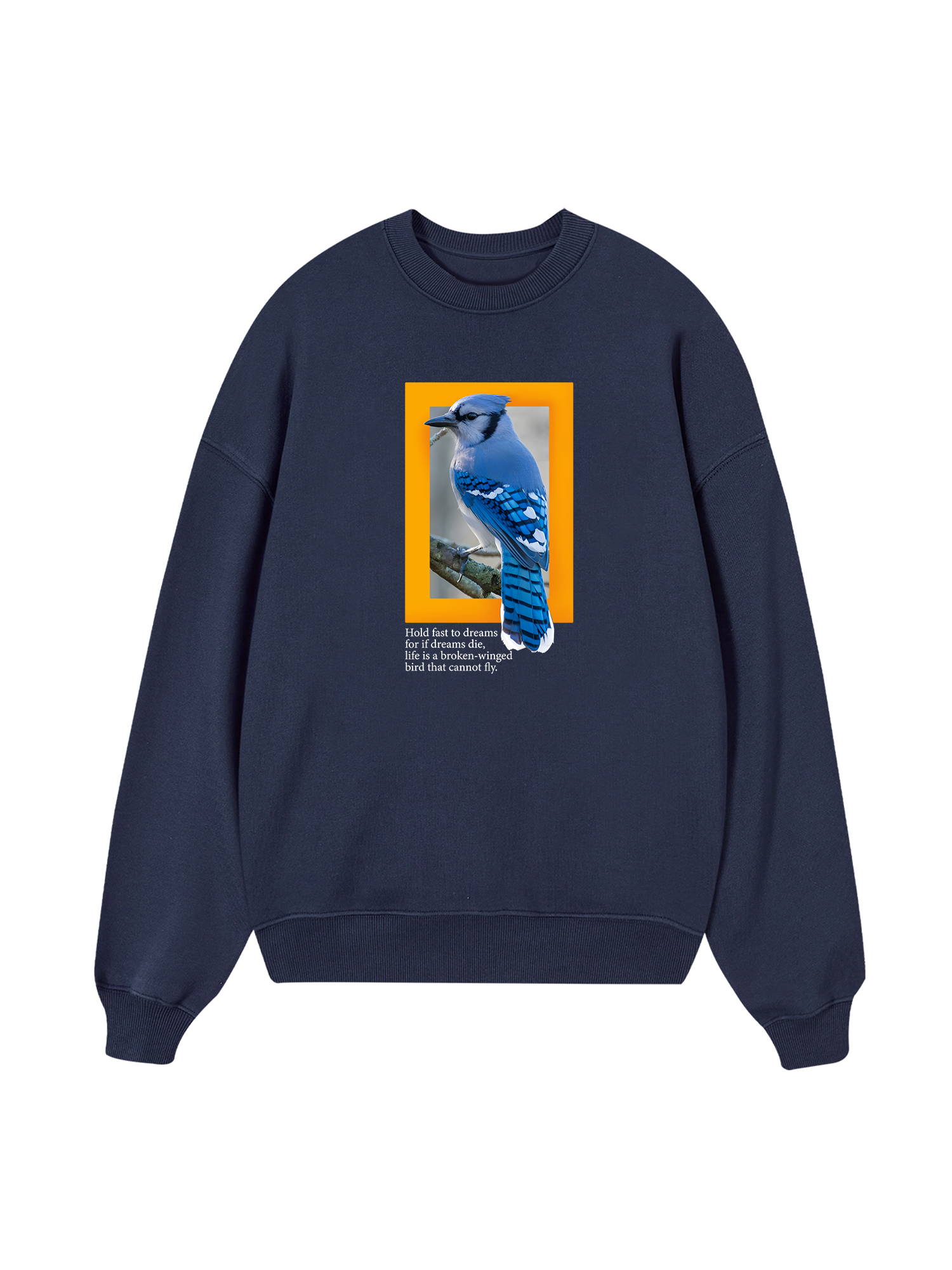 Wild Life Hold Fast To Dreams Sweater