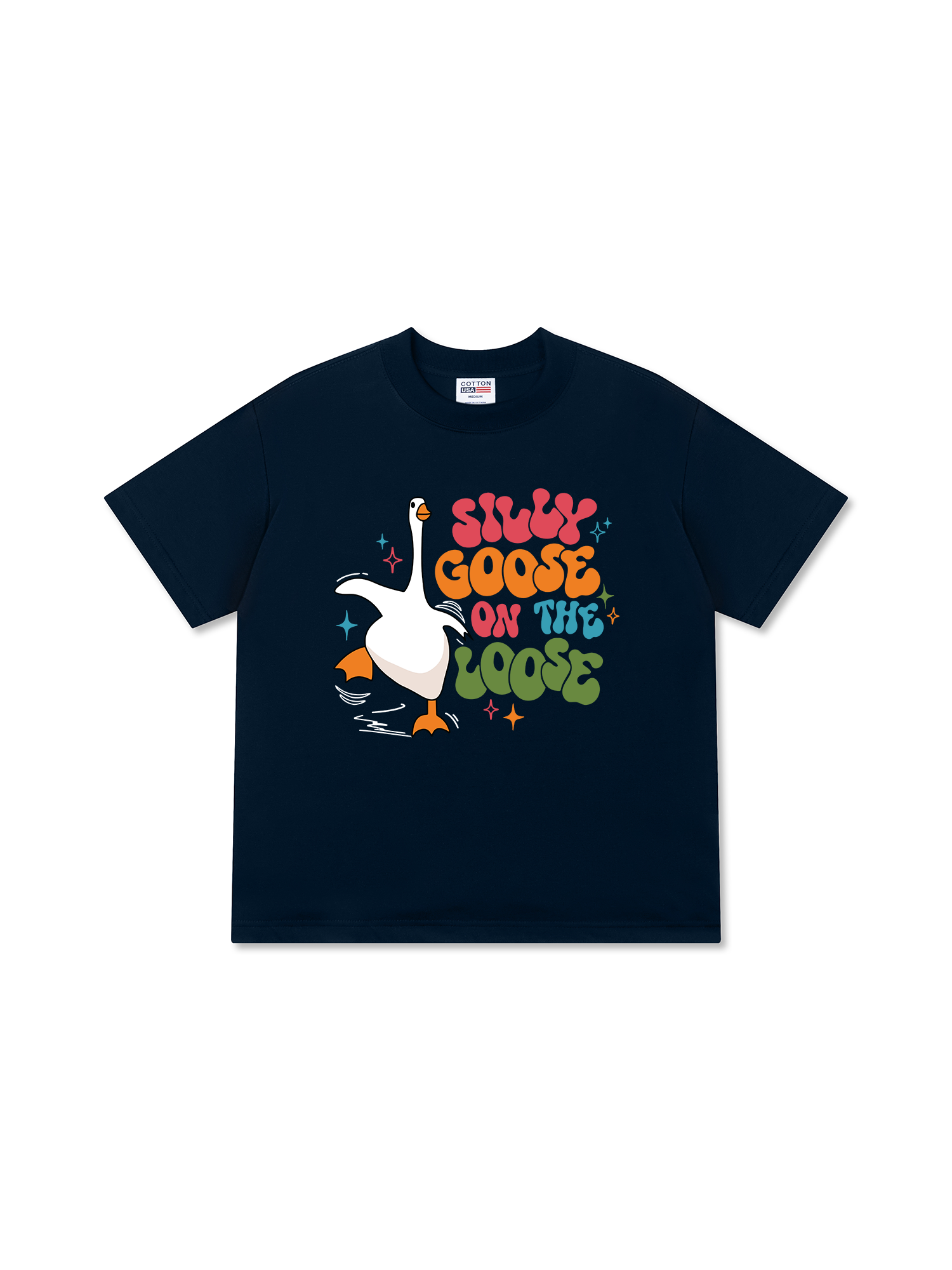 Áo Thun Relaxed Fit Farm Silly Goose On The Loose