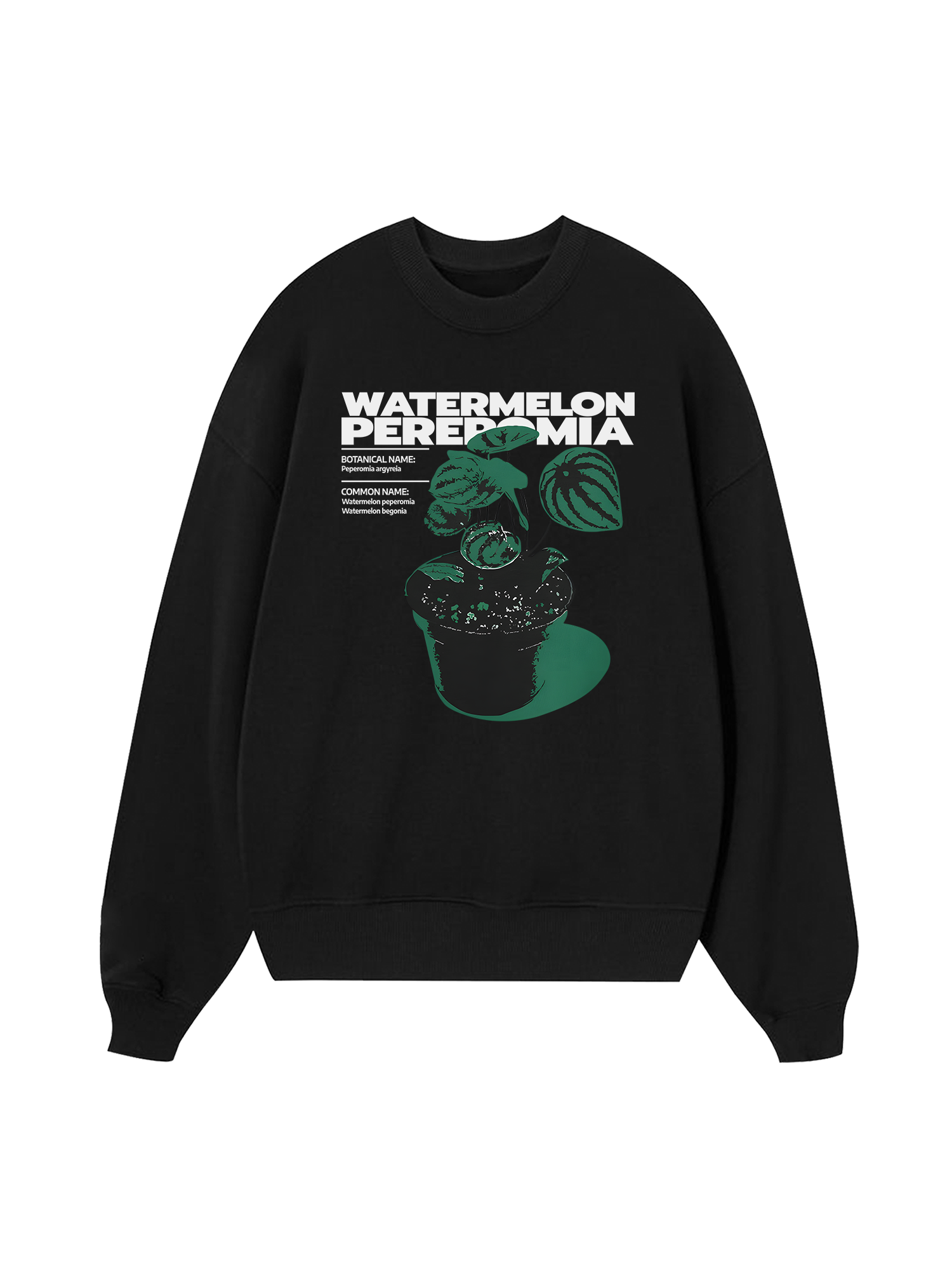 Tropical Watermelon Pereromia Sweater