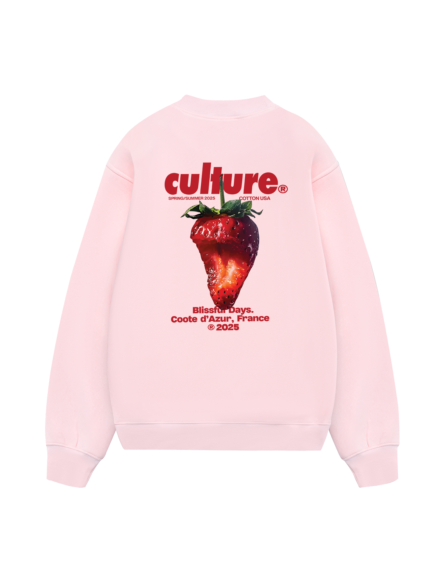 Tropical Culture Strawberry Sweater