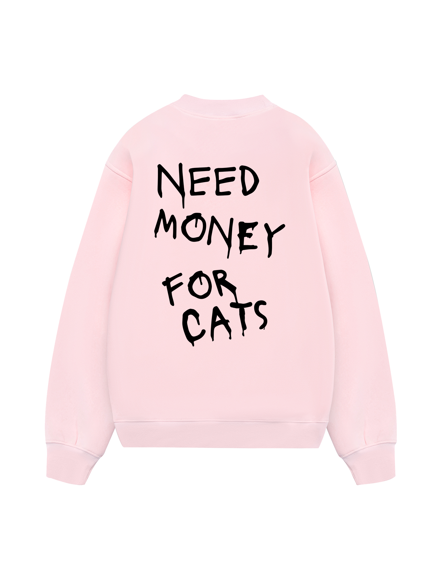 Need Money For Cats Sweater
