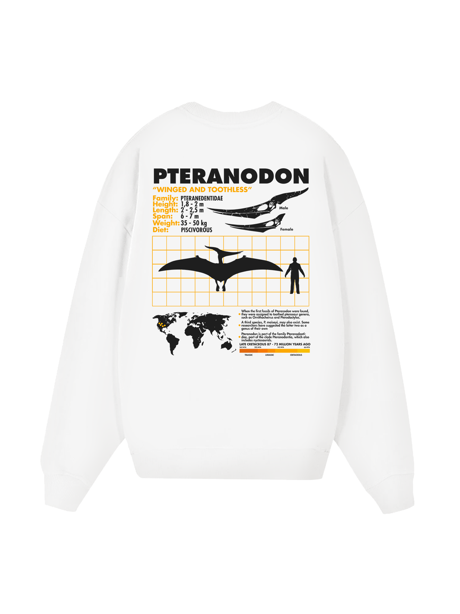 Wild Life Analysis Table Pteranodon Sweater