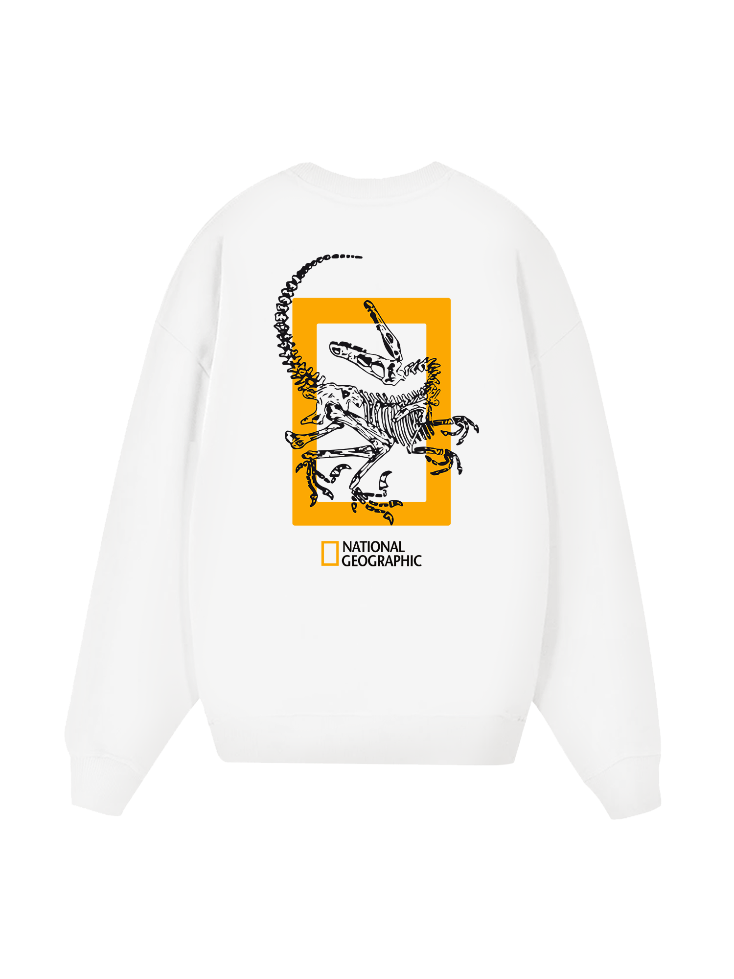 Wild Life The Fossil Raptor Sweater