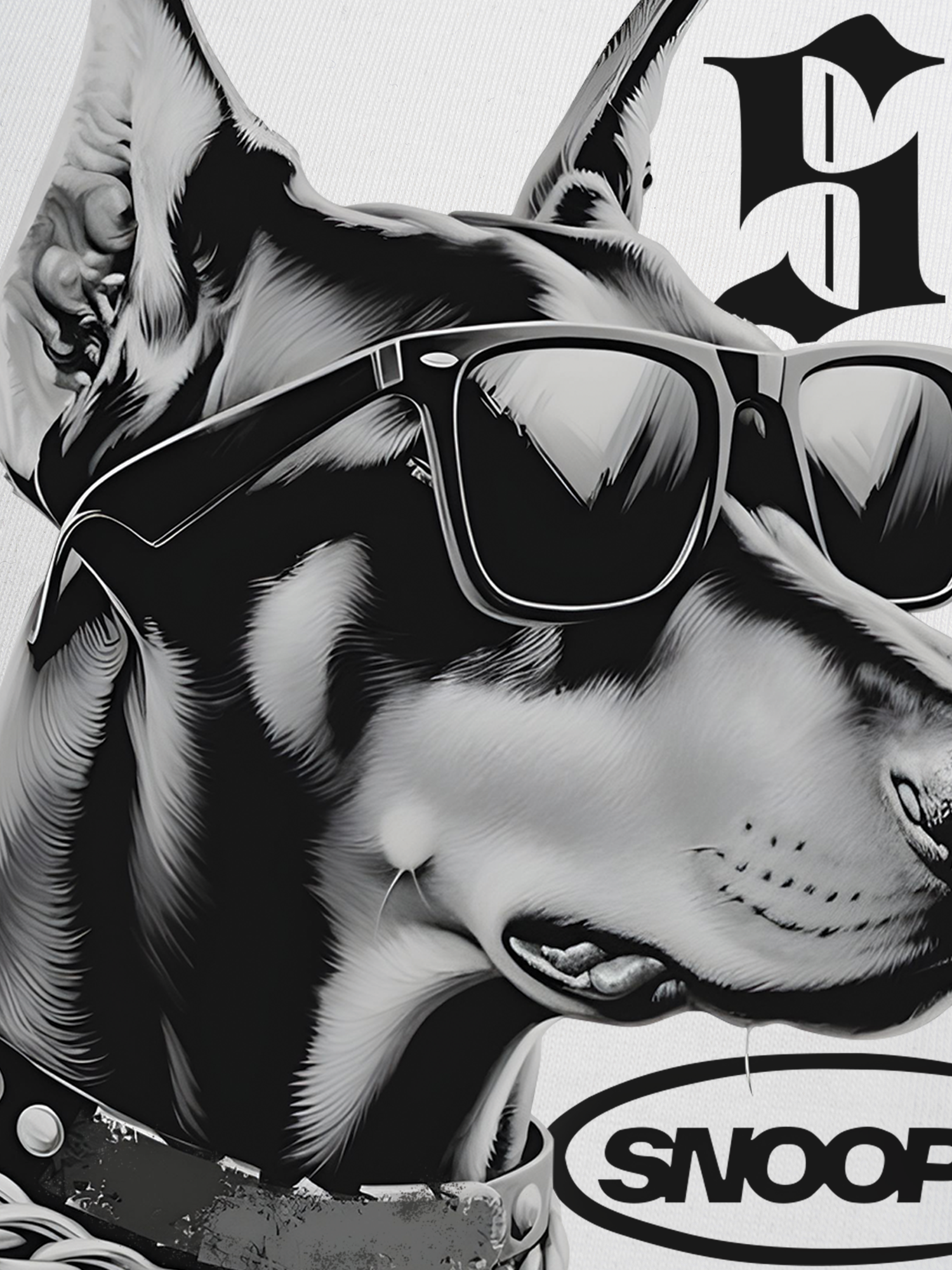 Áo Thun Ringer Relaxed Fit Rapper Funny Snoop Dog