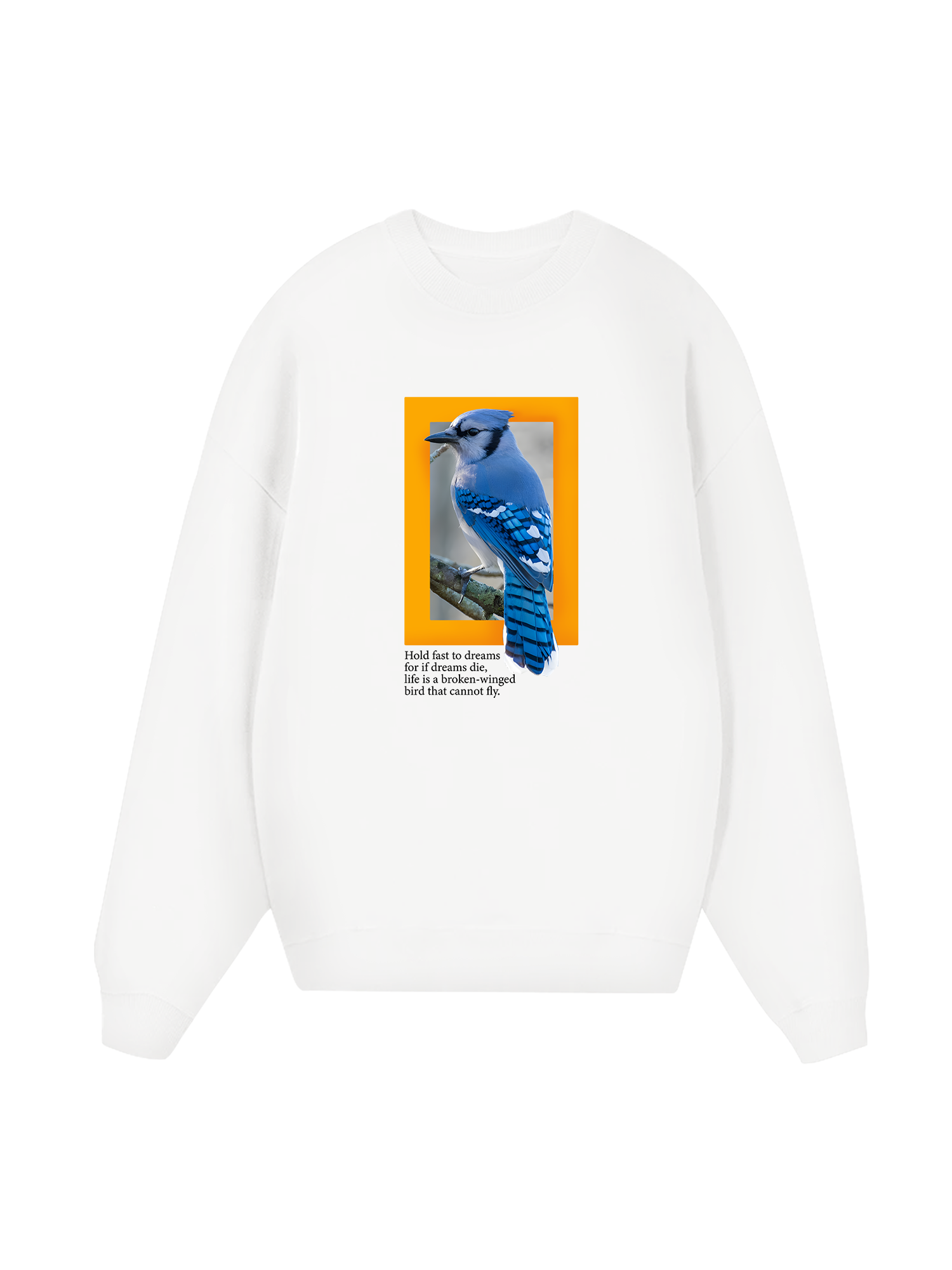 Wild Life Hold Fast To Dreams Sweater
