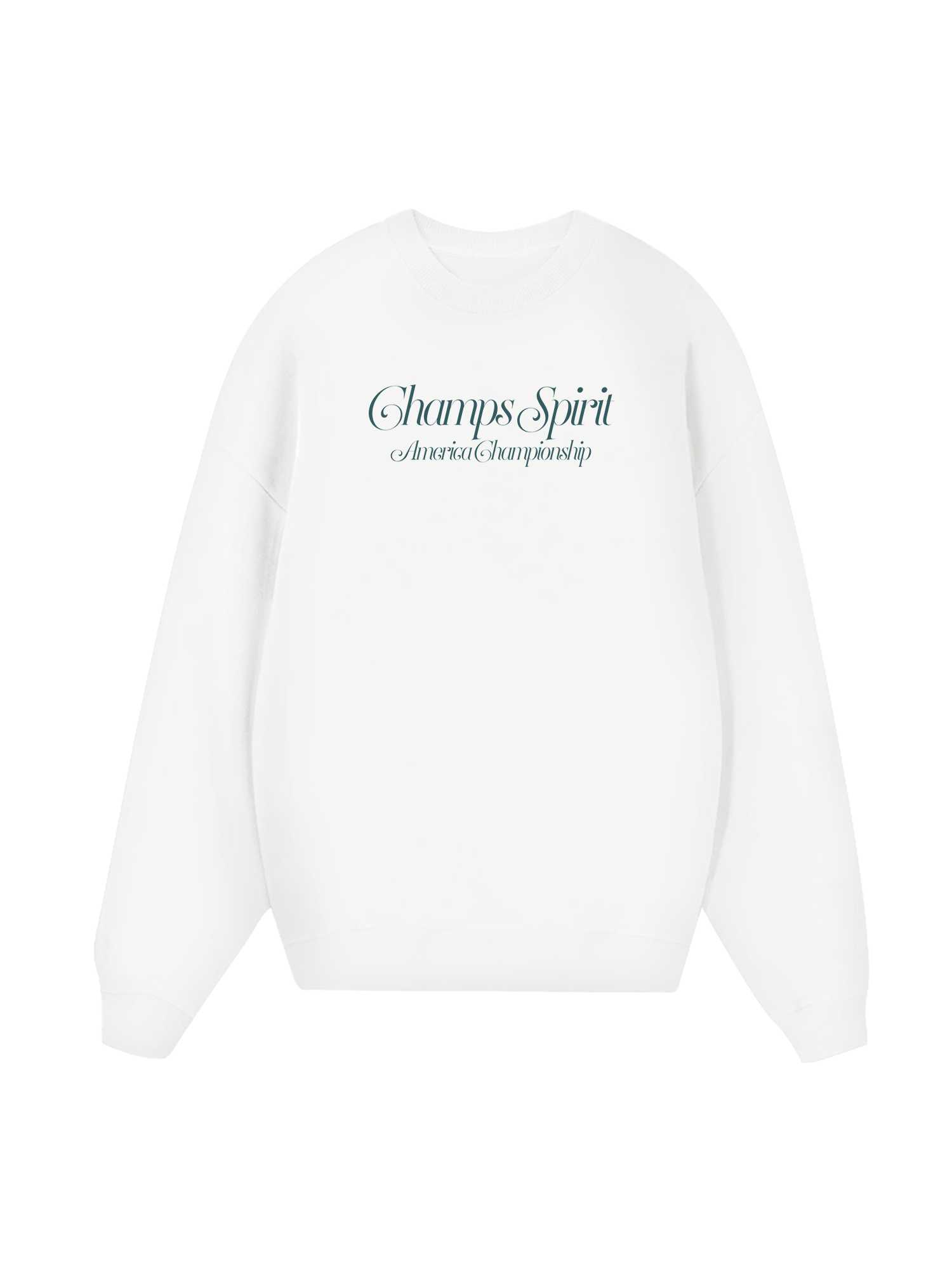 Champions America Spirit Sweater