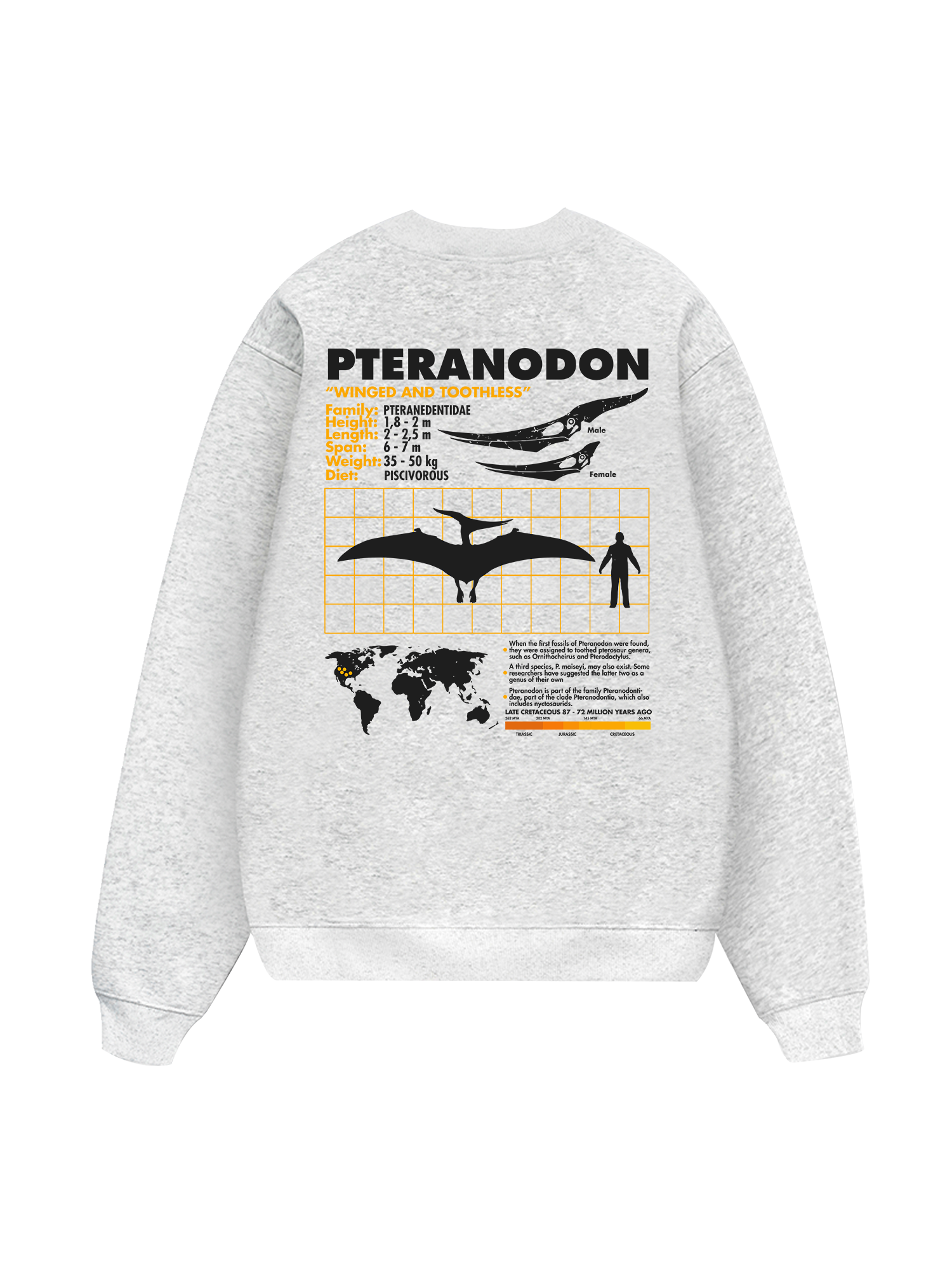 Wild Life Analysis Table Pteranodon Sweater