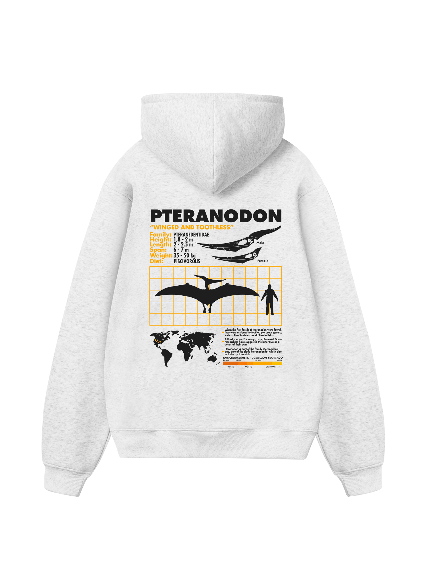Wild Life Analysis Table Pteranodon Hoodie