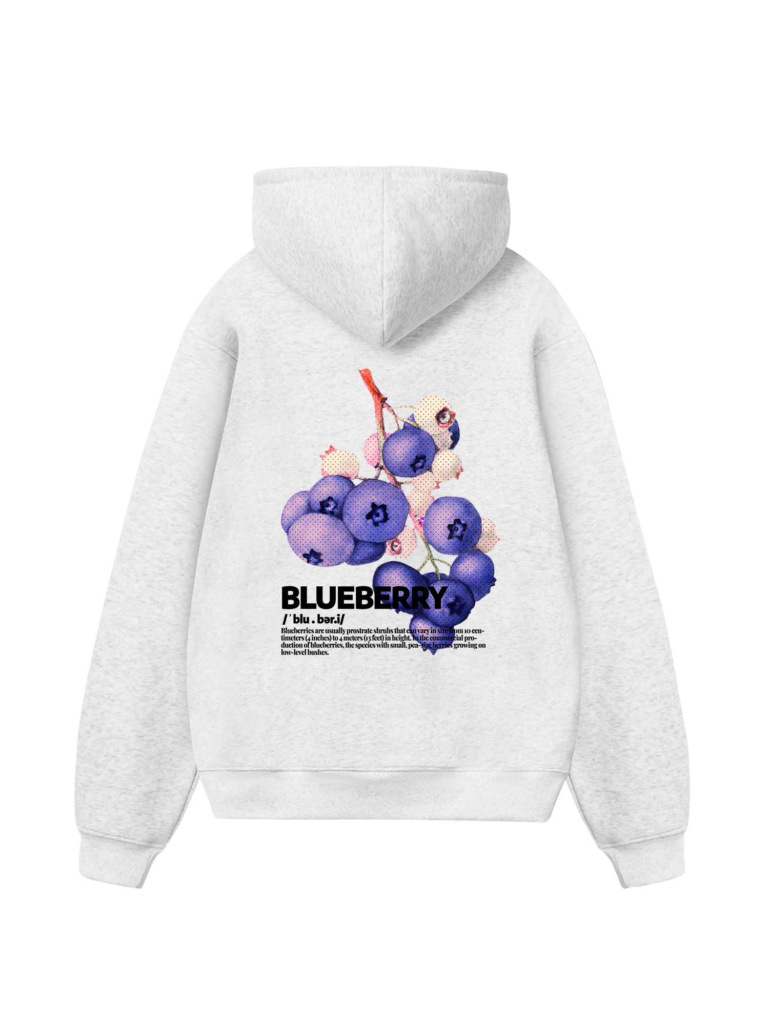 Tropical Blue Berry Retro Hoodie