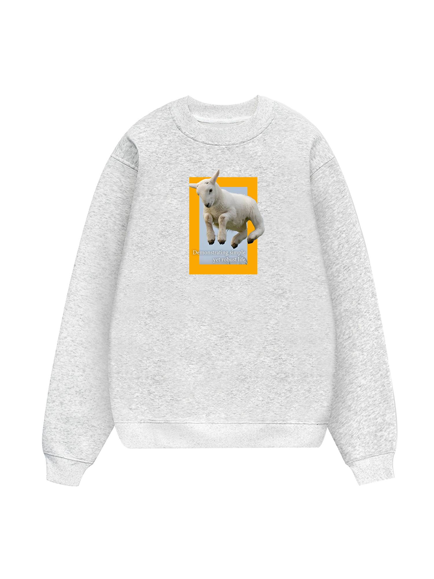 Wild Life Demonstrating Simple Sweater