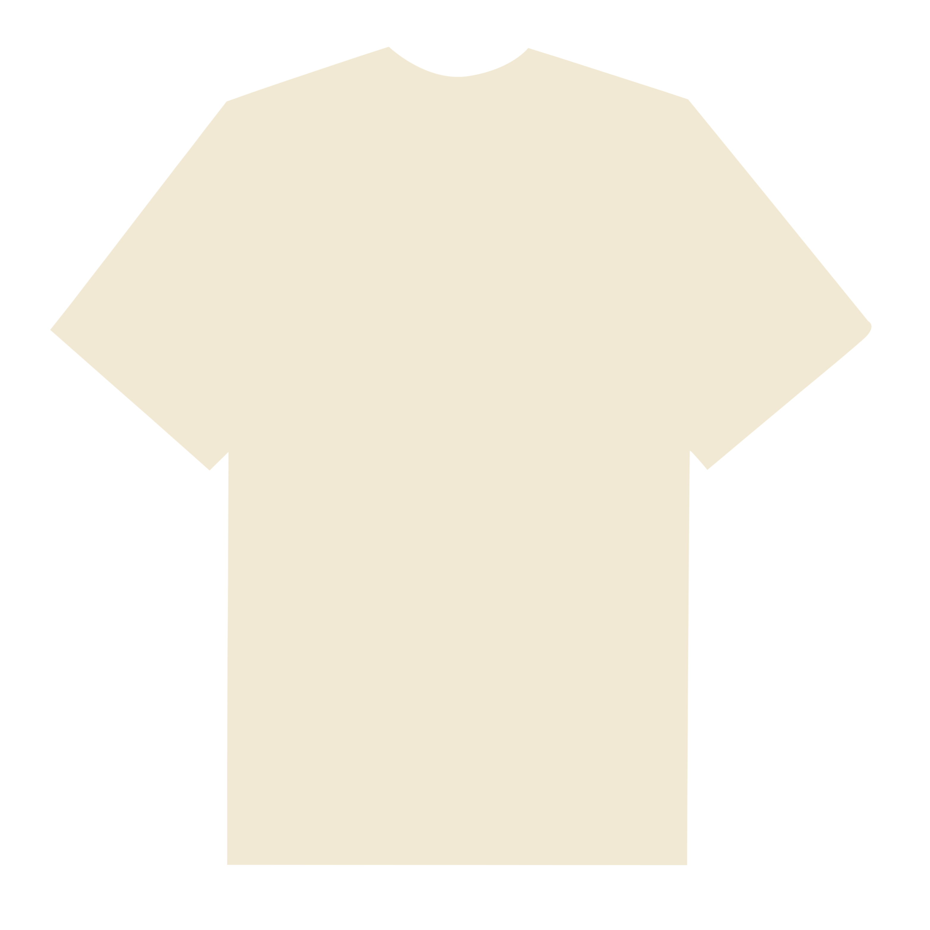 NBA Golden State Warriors Logo T-Shirt