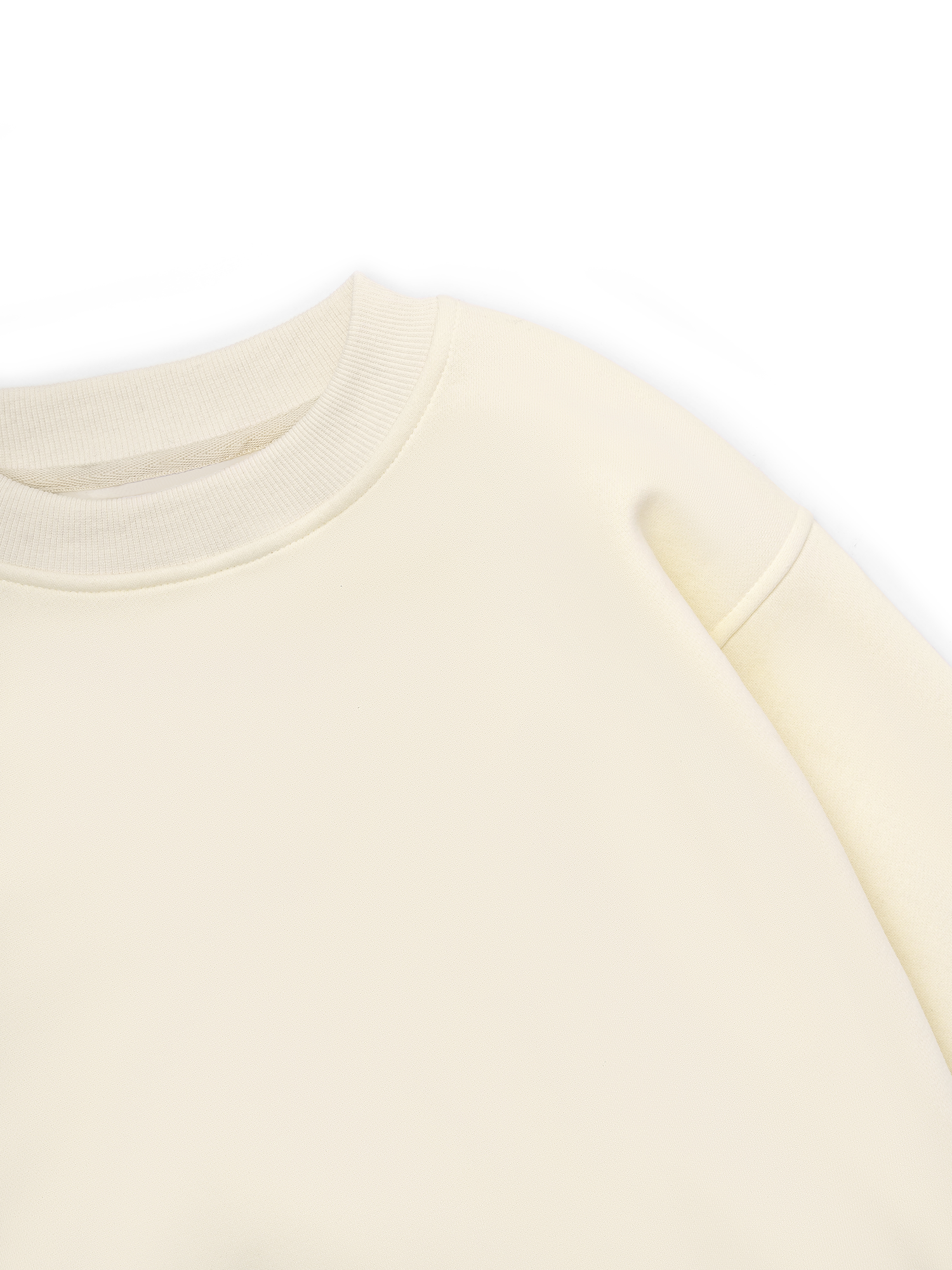 Áo Sweater Nỉ Bông Cotton USA Basic