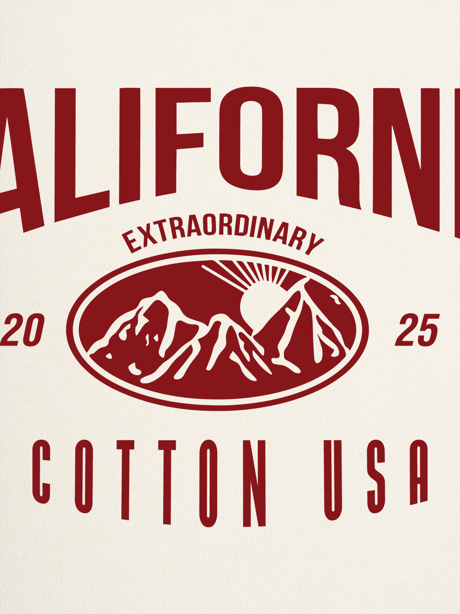Áo Thun Ringer Relaxed Fit USA California Extraordinary