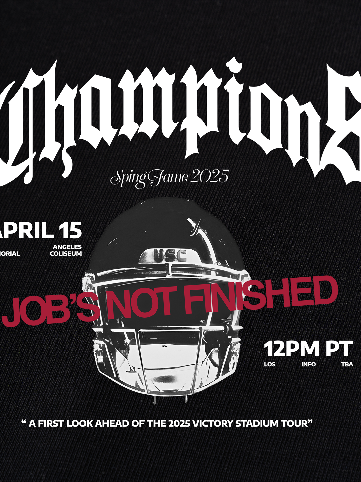 Áo Thun Ringer Relaxed Fit Champions Victory Stadium