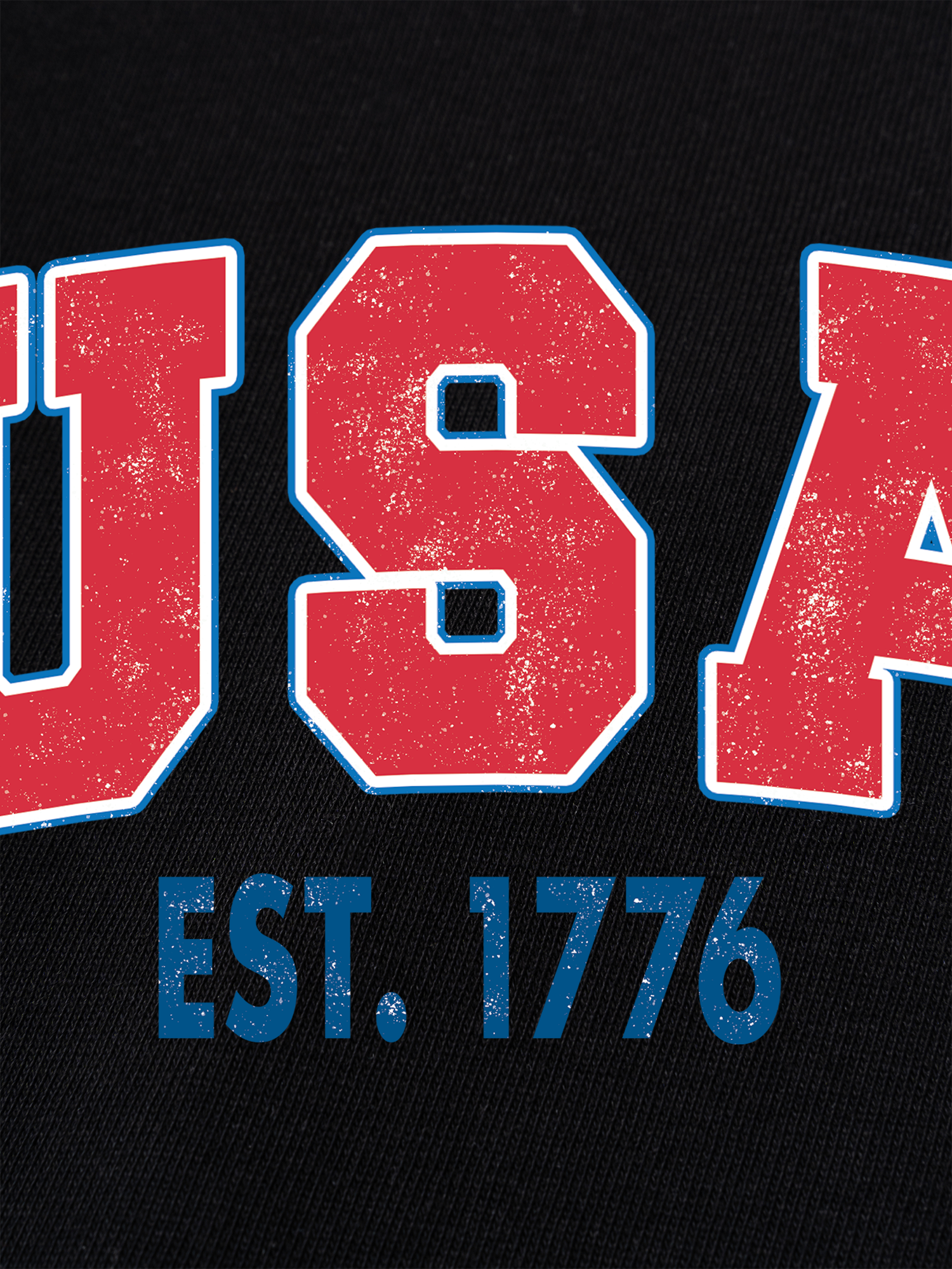 Áo Thun Ringer Relaxed Fit USA Est 1776