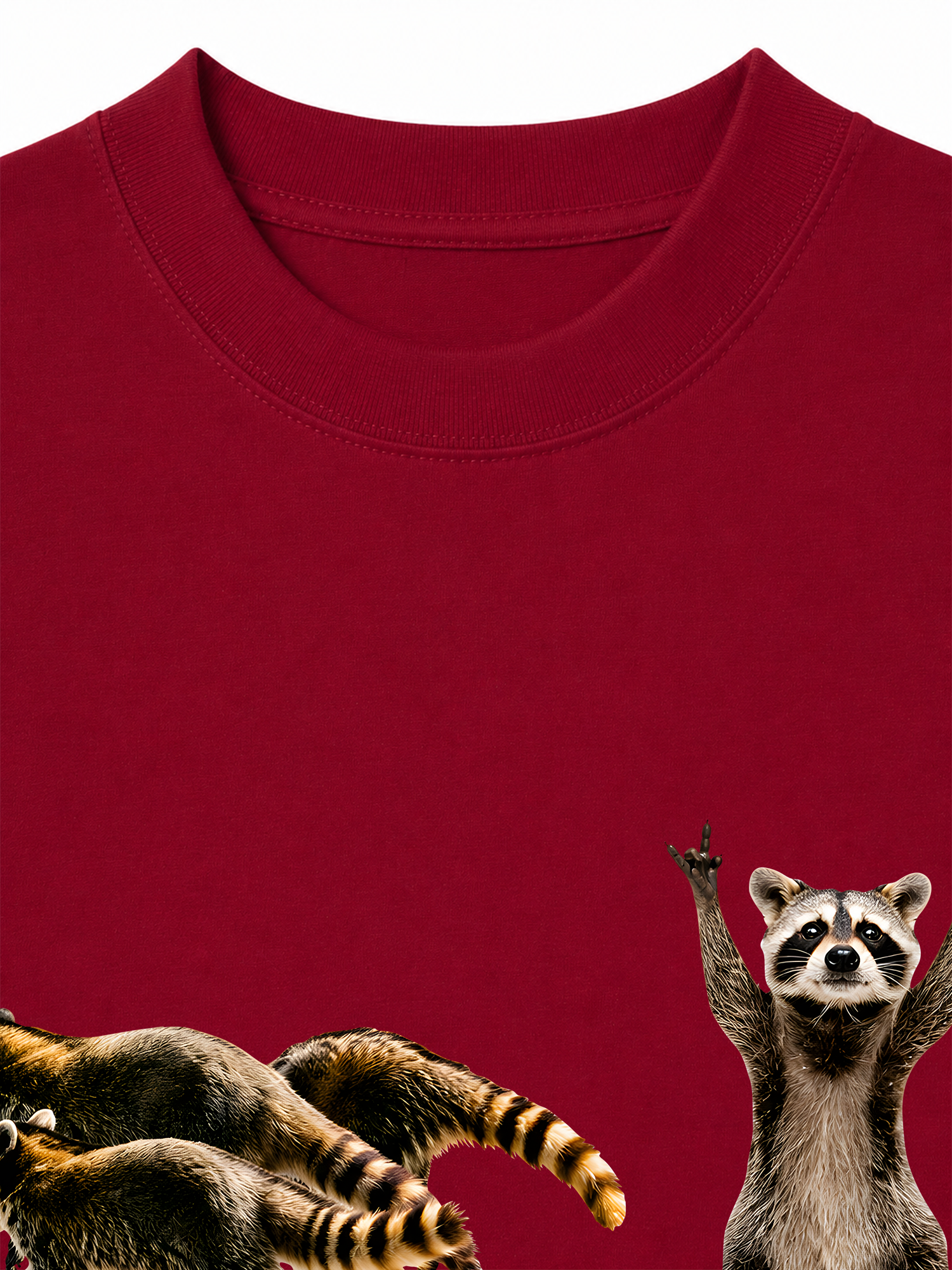Áo Thun Relaxed Fit I Just Gotta Be Me Raccoon