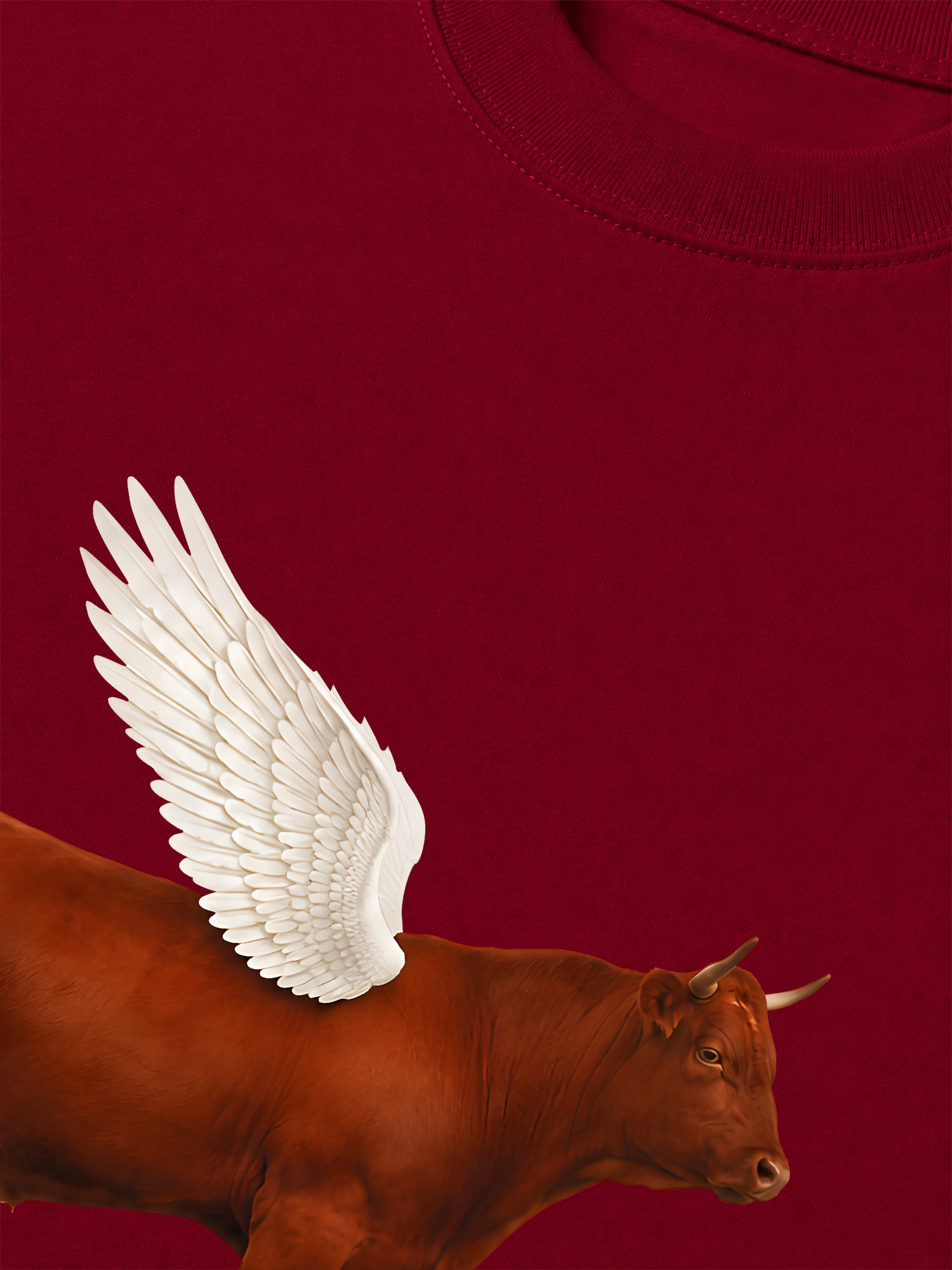 Áo Thun Relaxed Fit Find Your Wings
