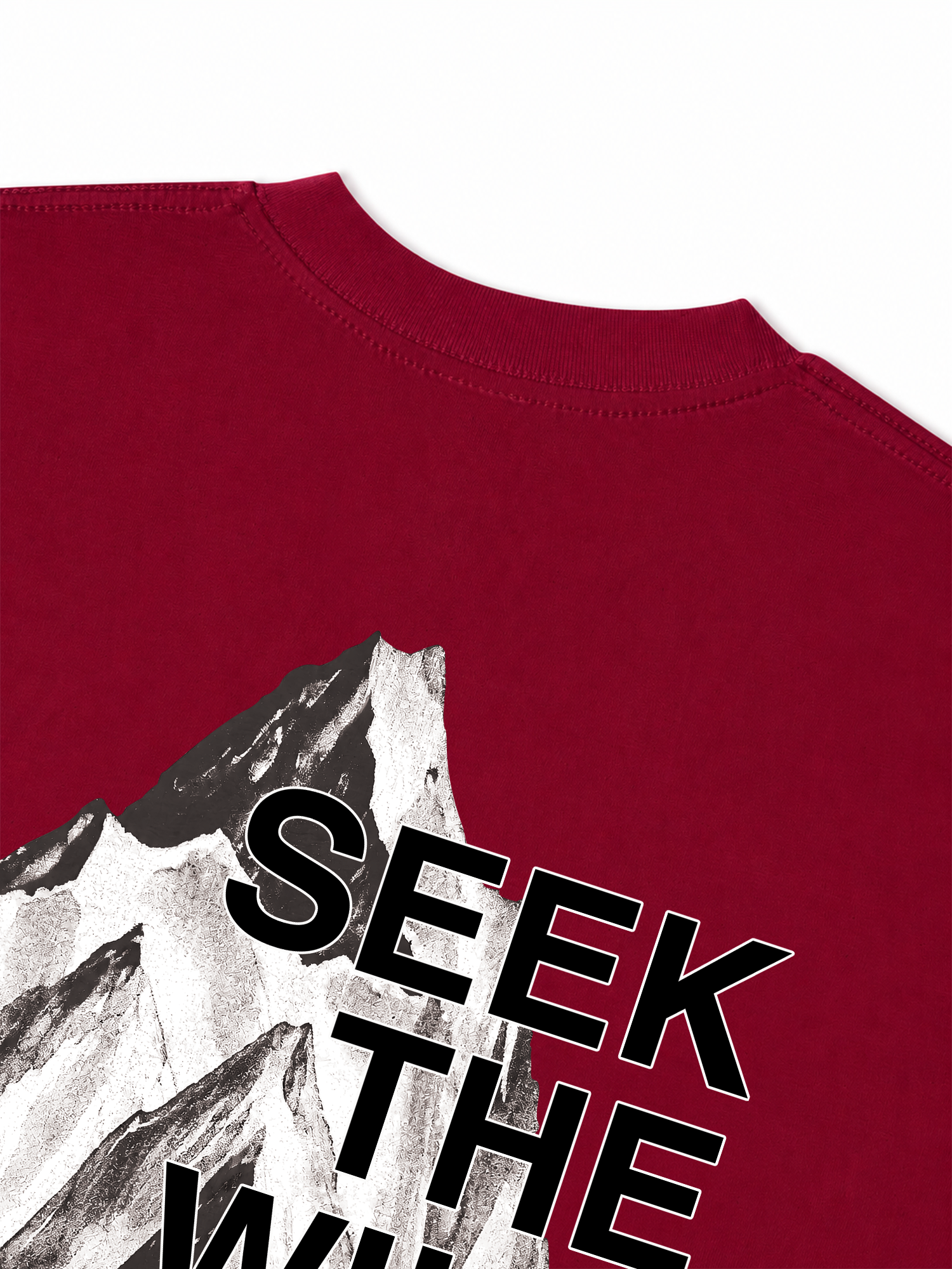 Áo Thun Relaxed Fit Adventure Seek The Wild 3