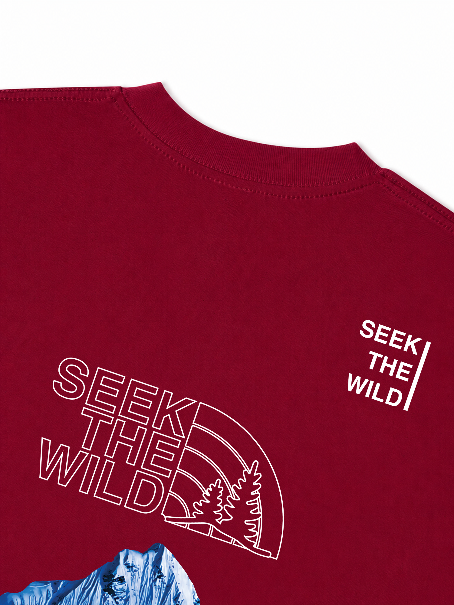 Áo Thun Relaxed Fit Adventure Seek The Wild Never Stop Exploring 6