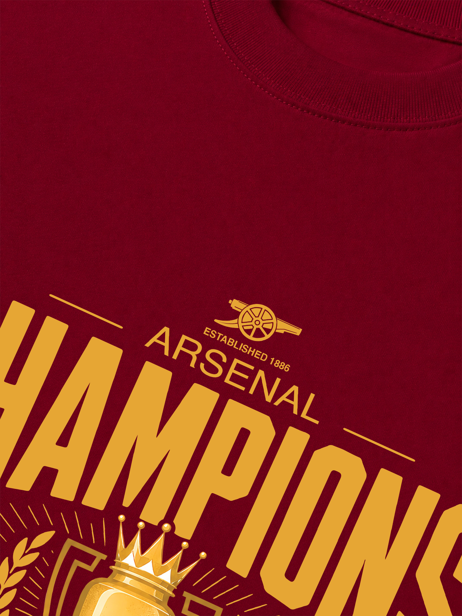 Áo Thun Relaxed Fit Soccer Premier League Arsenal 3