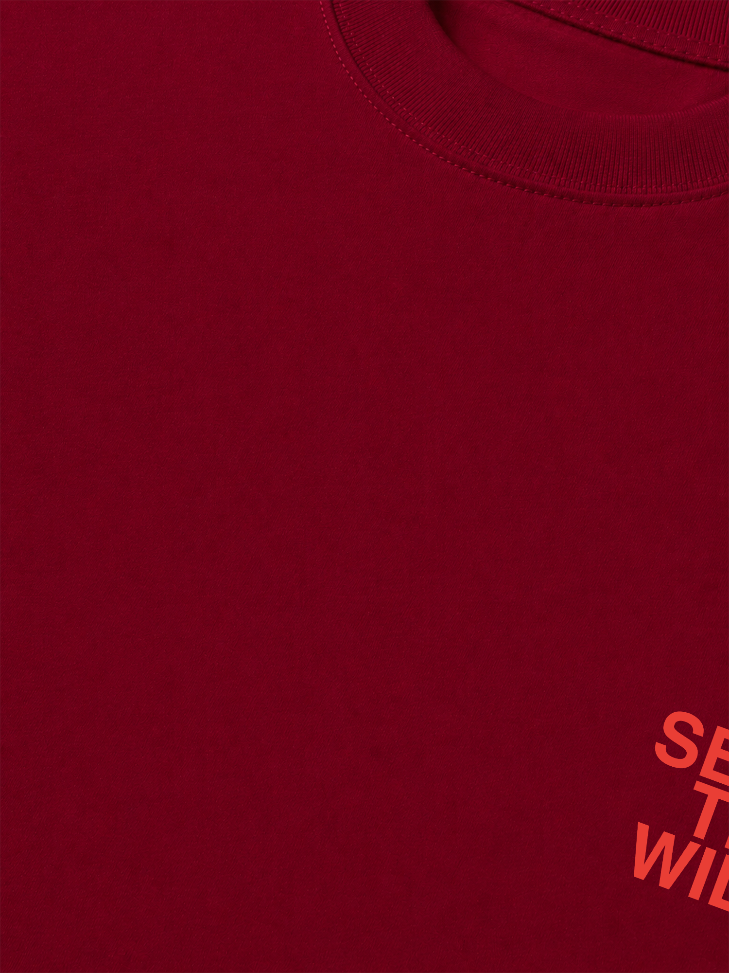 Áo Thun Relaxed Fit Adventure Seek The Wild Since 2026