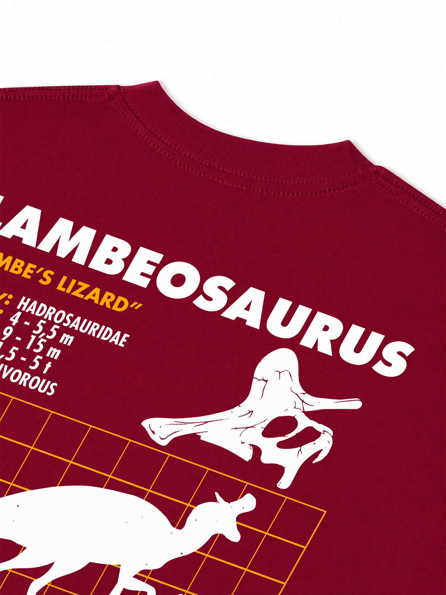 Áo Thun Relaxed Fit Analysis Table Lambeosaurus