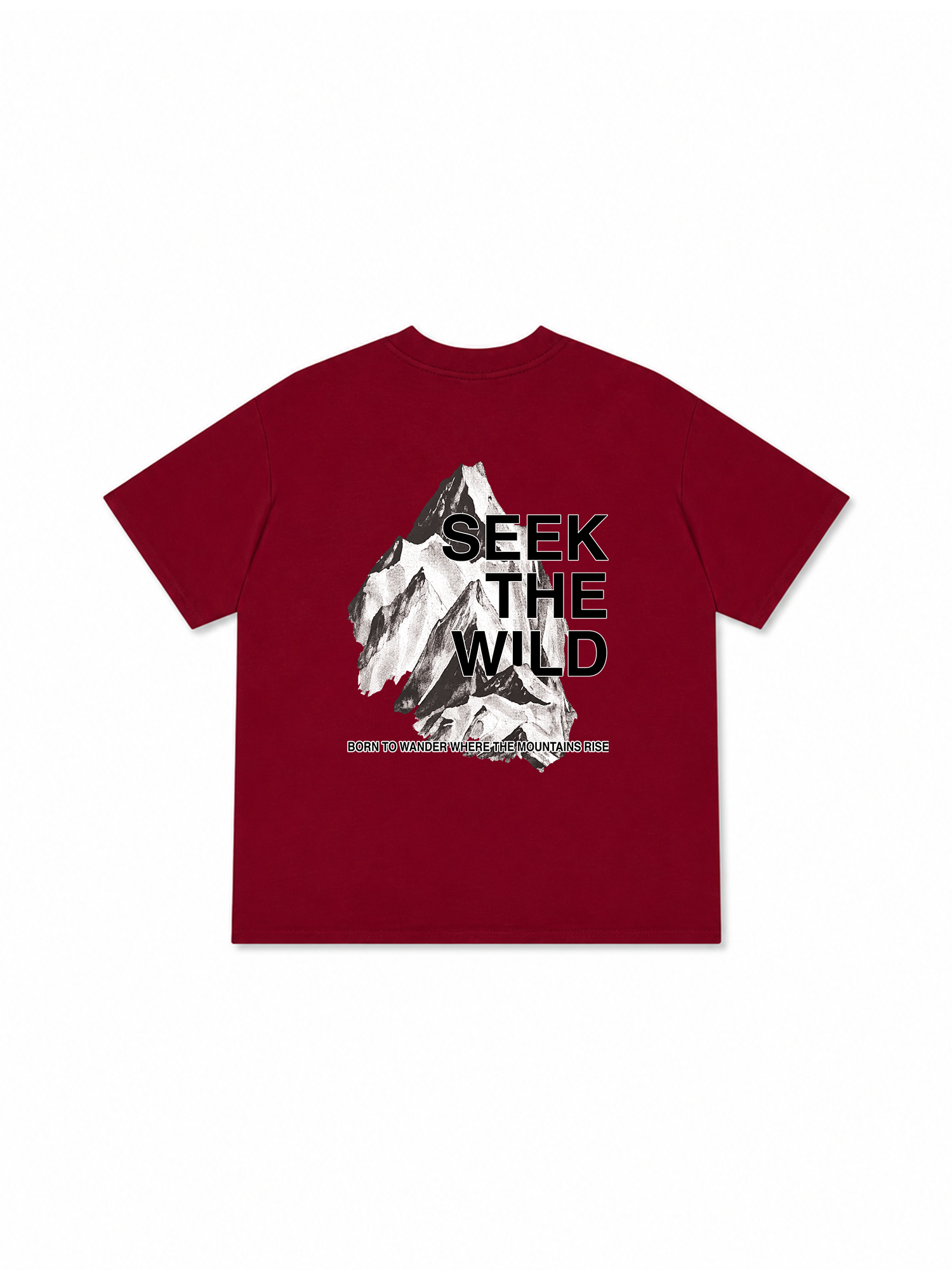 Áo Thun Relaxed Fit Adventure Seek The Wild 3