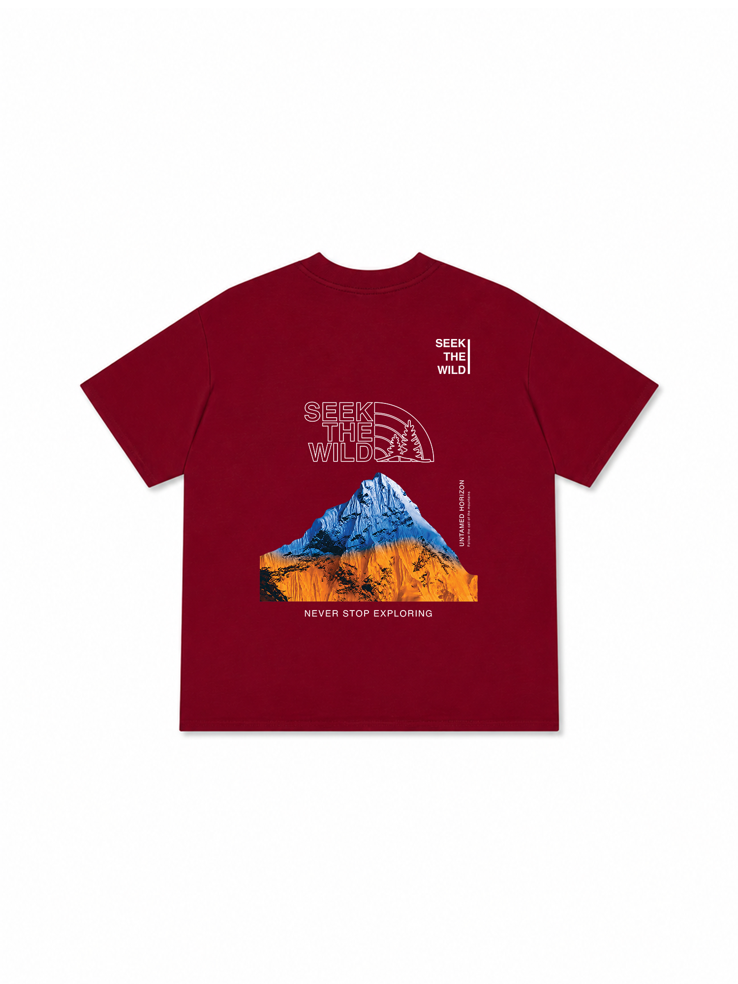 Áo Thun Relaxed Fit Adventure Seek The Wild Never Stop Exploring 6